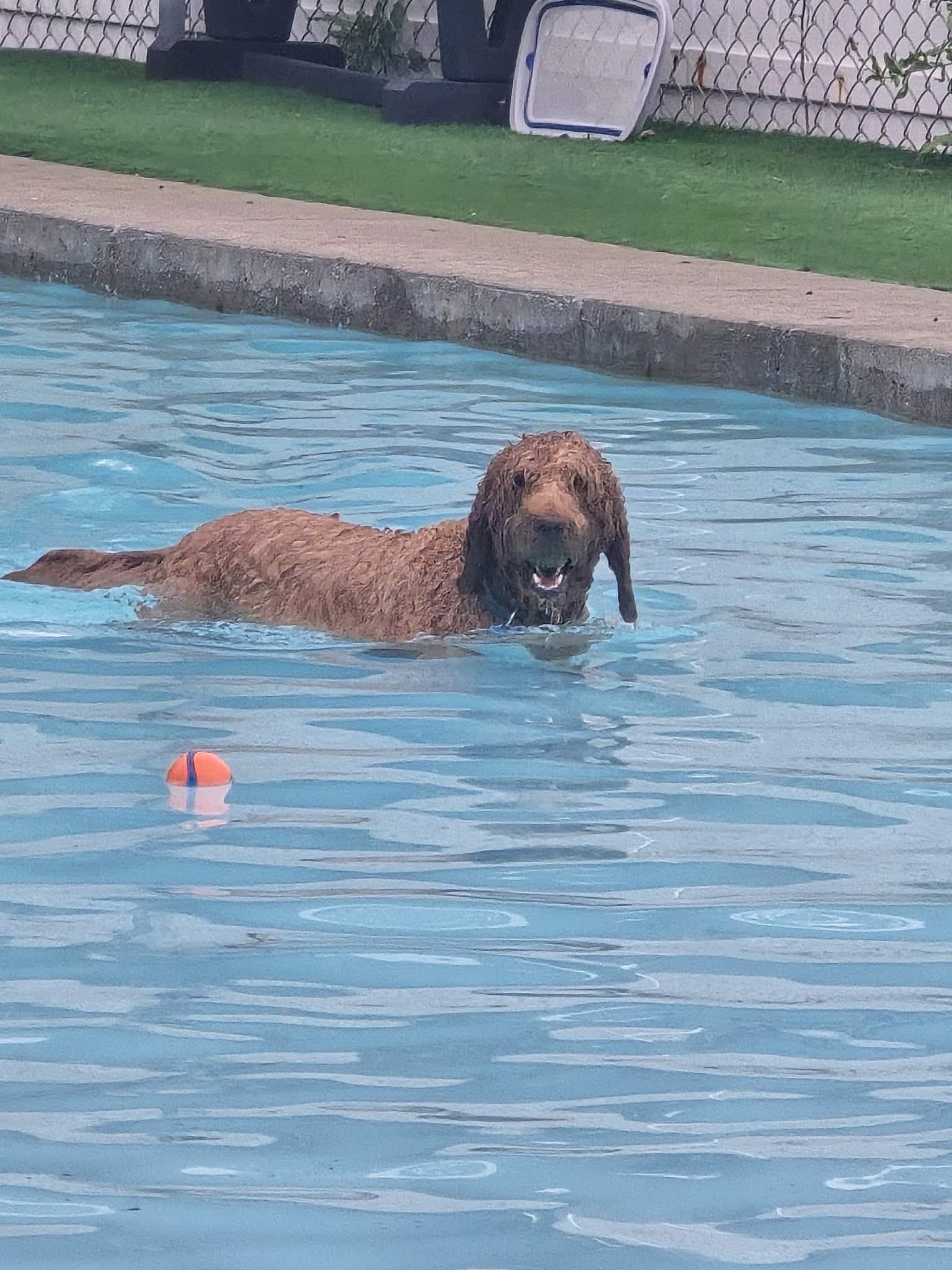 Lucky Paws Pet Resort - Freedom, PA