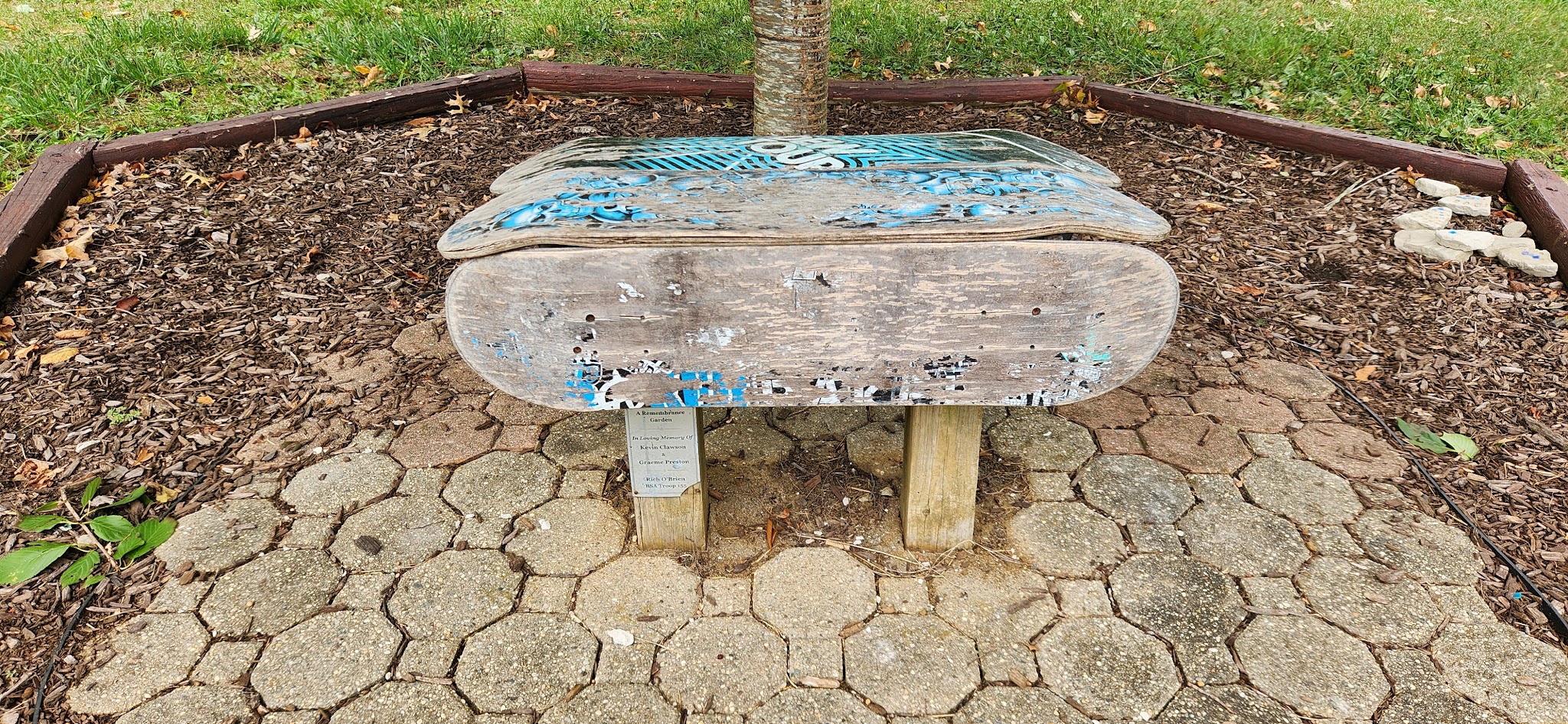 Wynnefield Park - Freehold, NJ