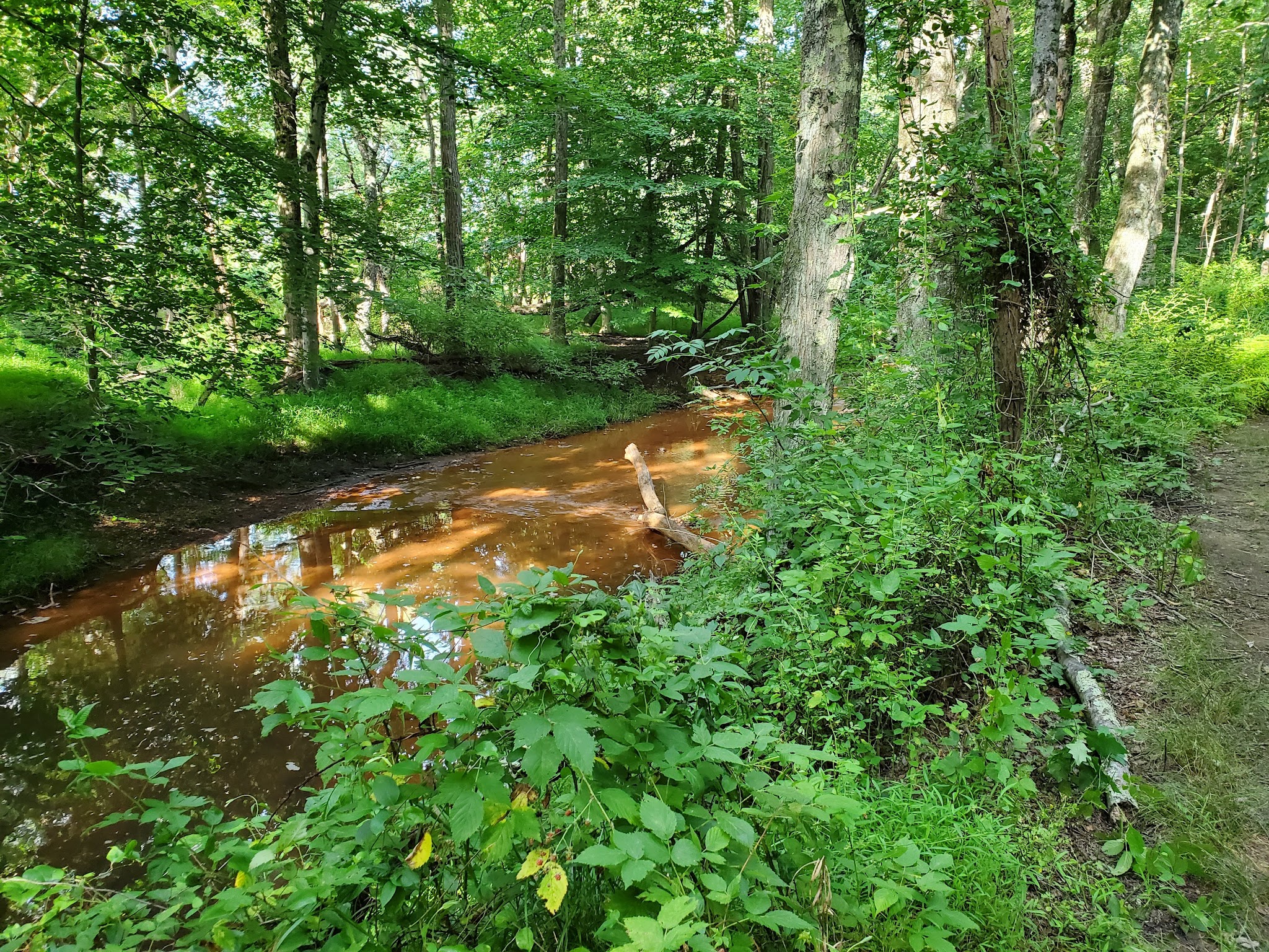 Manasquan River Linear Park - Freehold Township, NJ