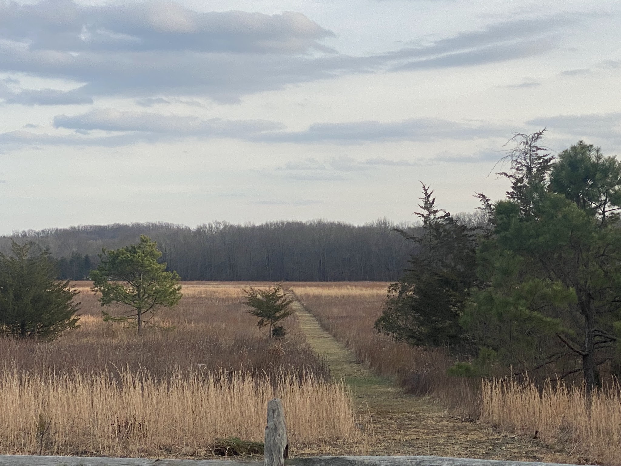 Manasquan River Linear Park - Freehold Township, NJ