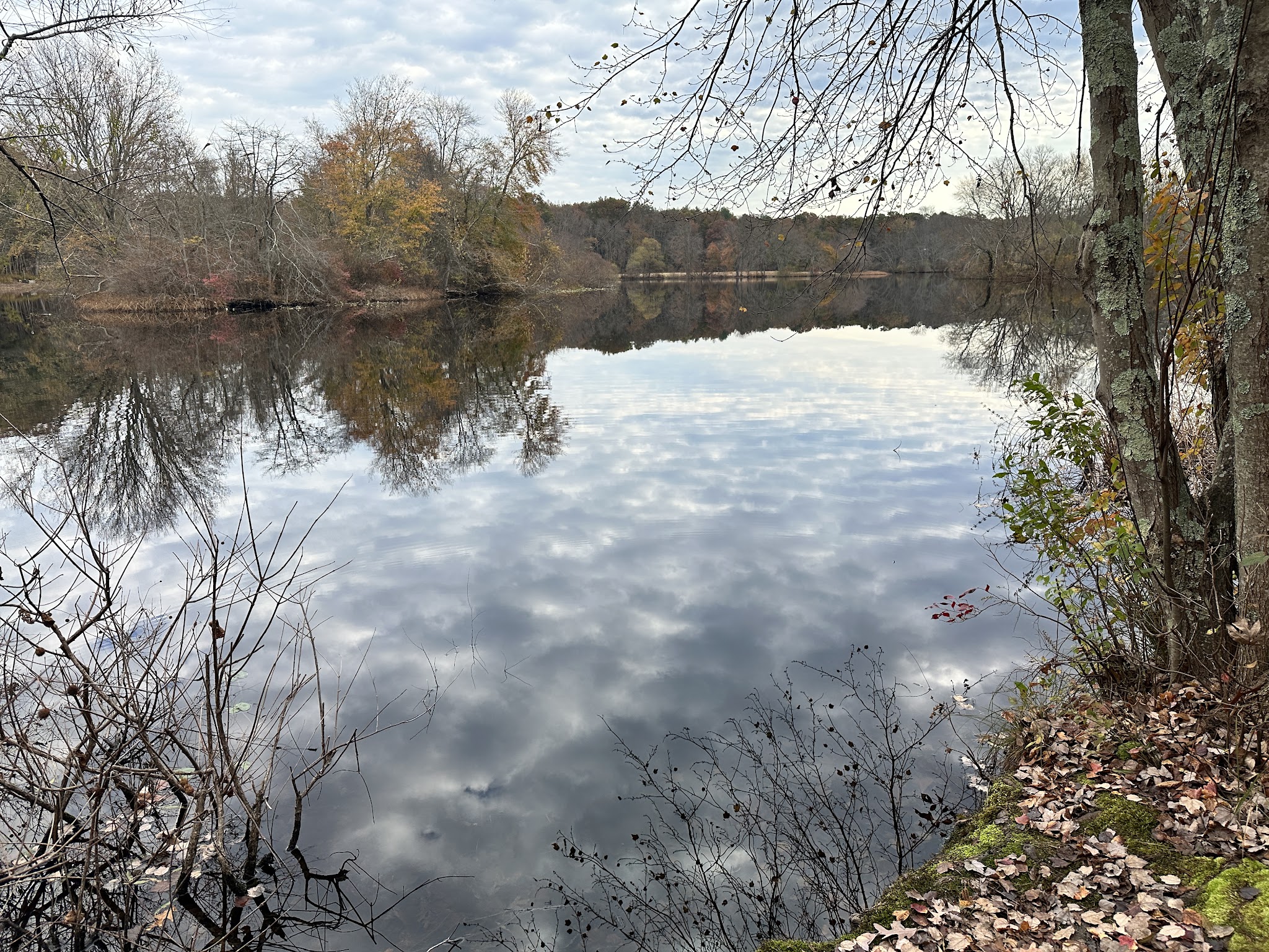 Turkey Swamp Park - Freehold Township, NJ