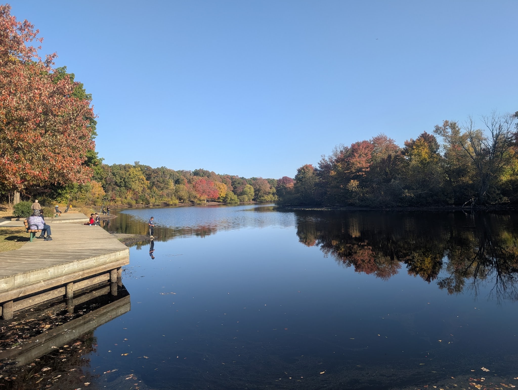 Turkey Swamp Park - Freehold Township, NJ