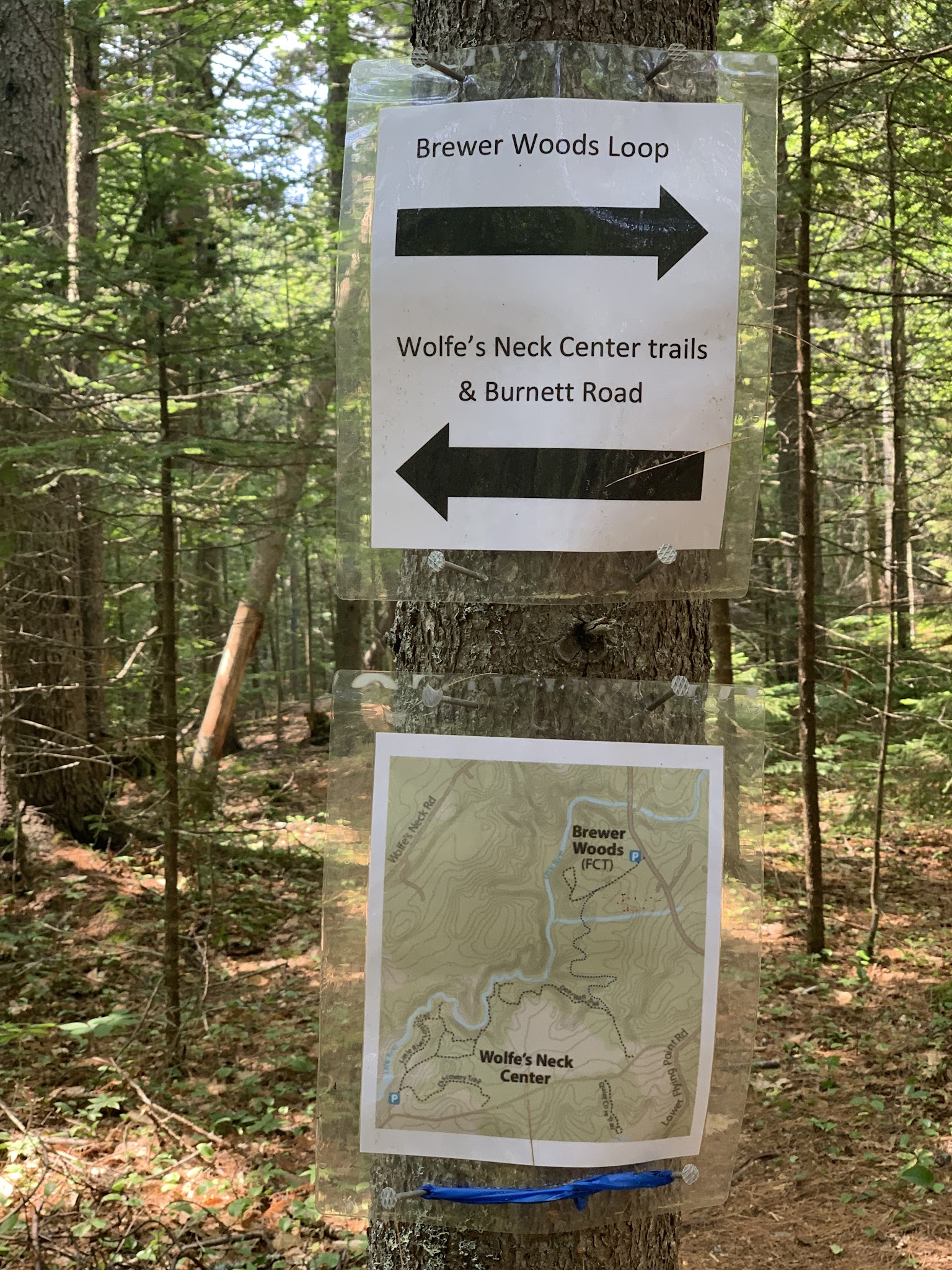 Brewer Woods - Freeport, ME