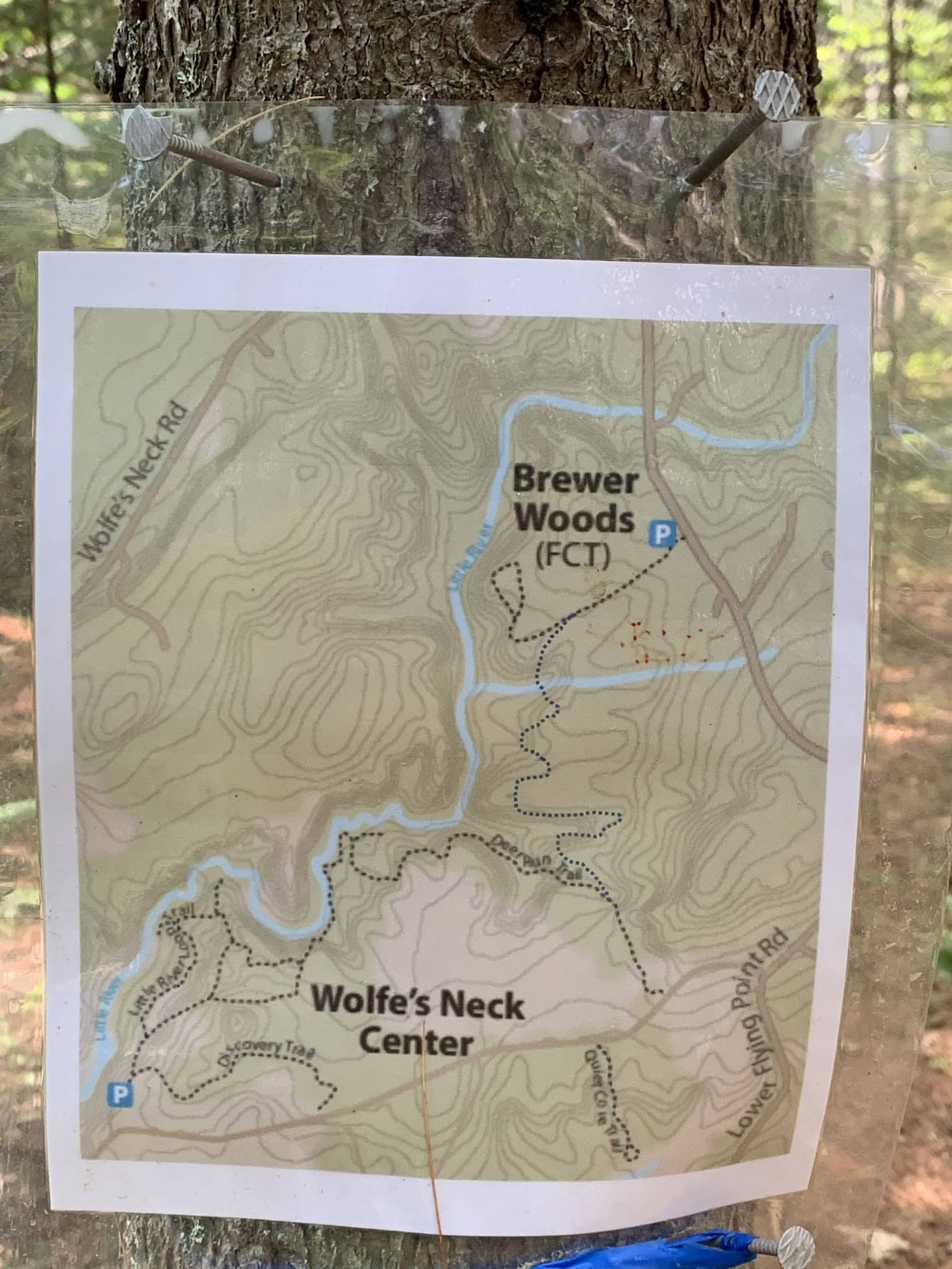 Brewer Woods - Freeport, ME