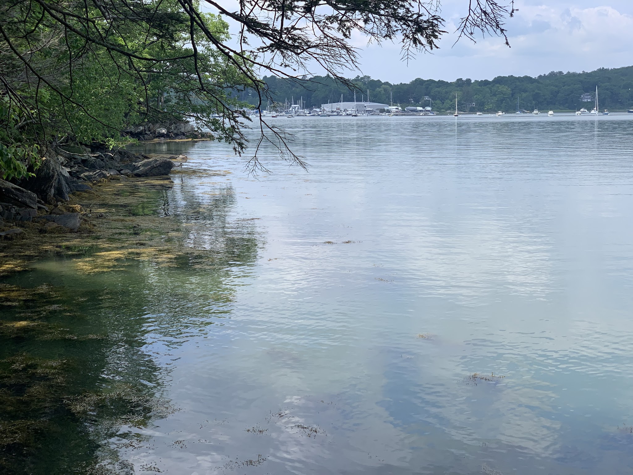 Rachel’s Cove - Freeport, ME