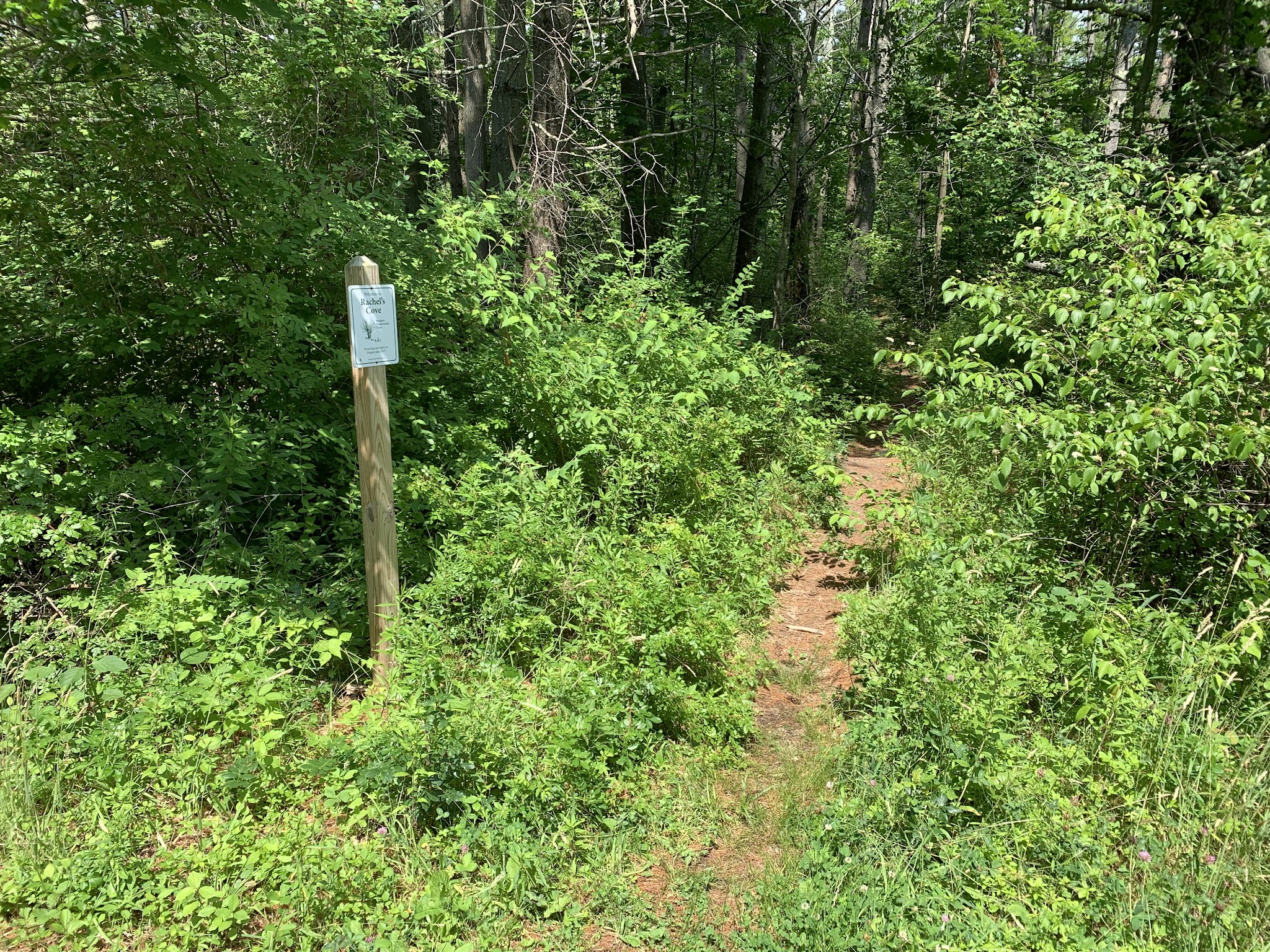 Rachel’s Cove - Freeport, ME