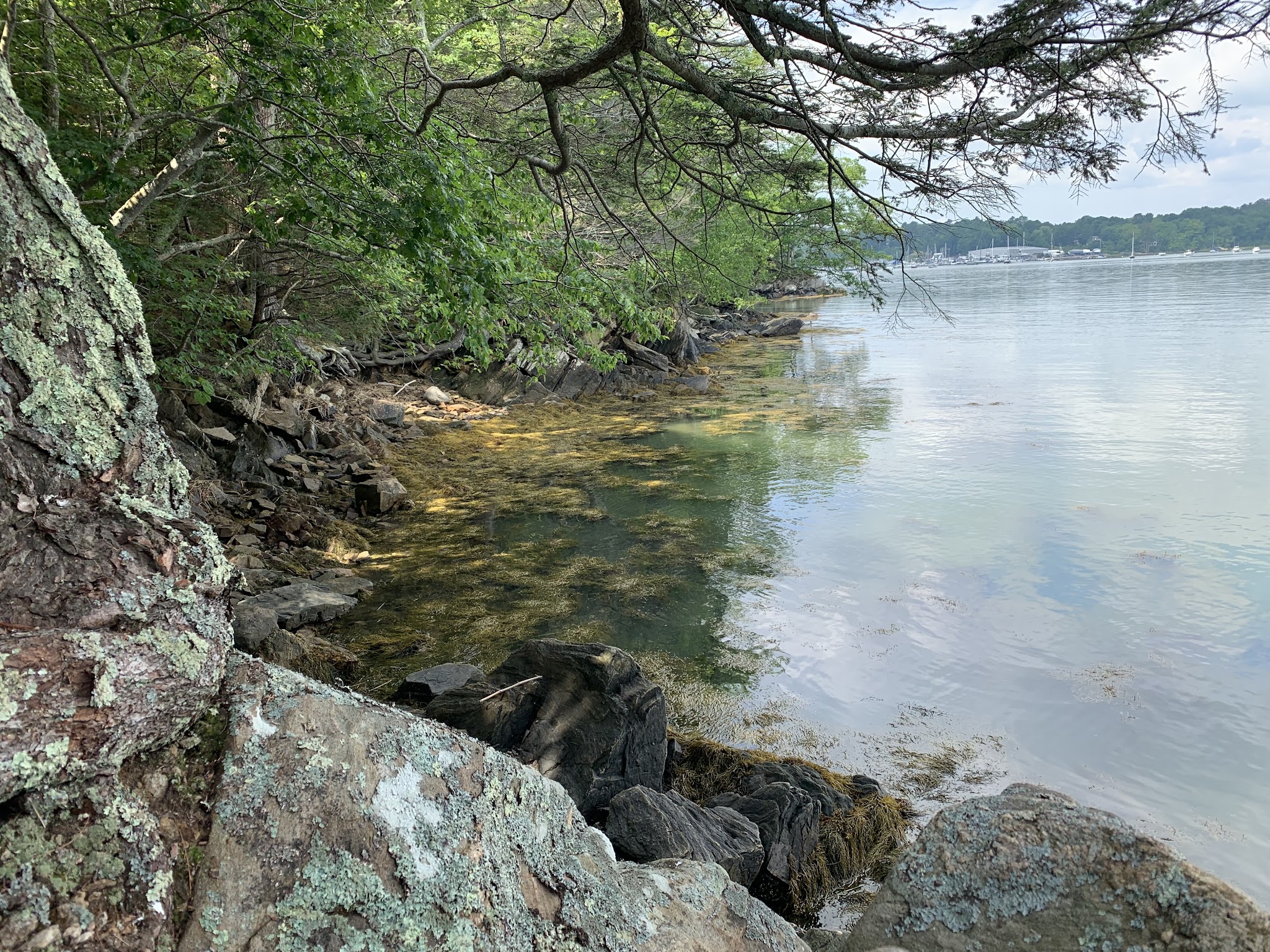Rachel’s Cove - Freeport, ME