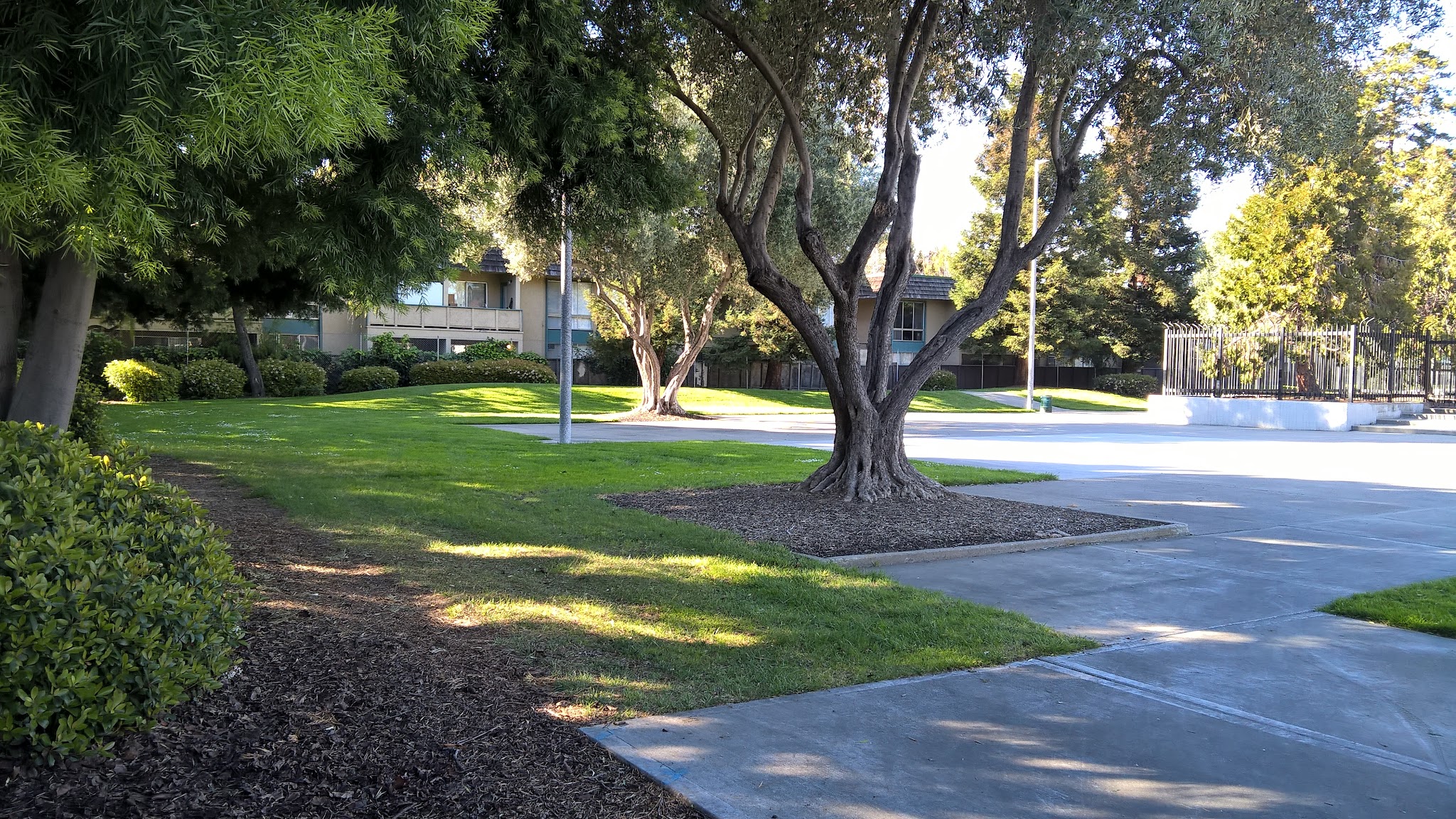 Brookvale Trail Park - Fremont, CA