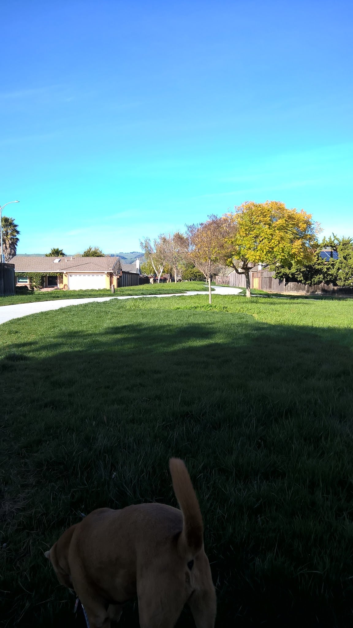 Brookvale Trail Park - Fremont, CA