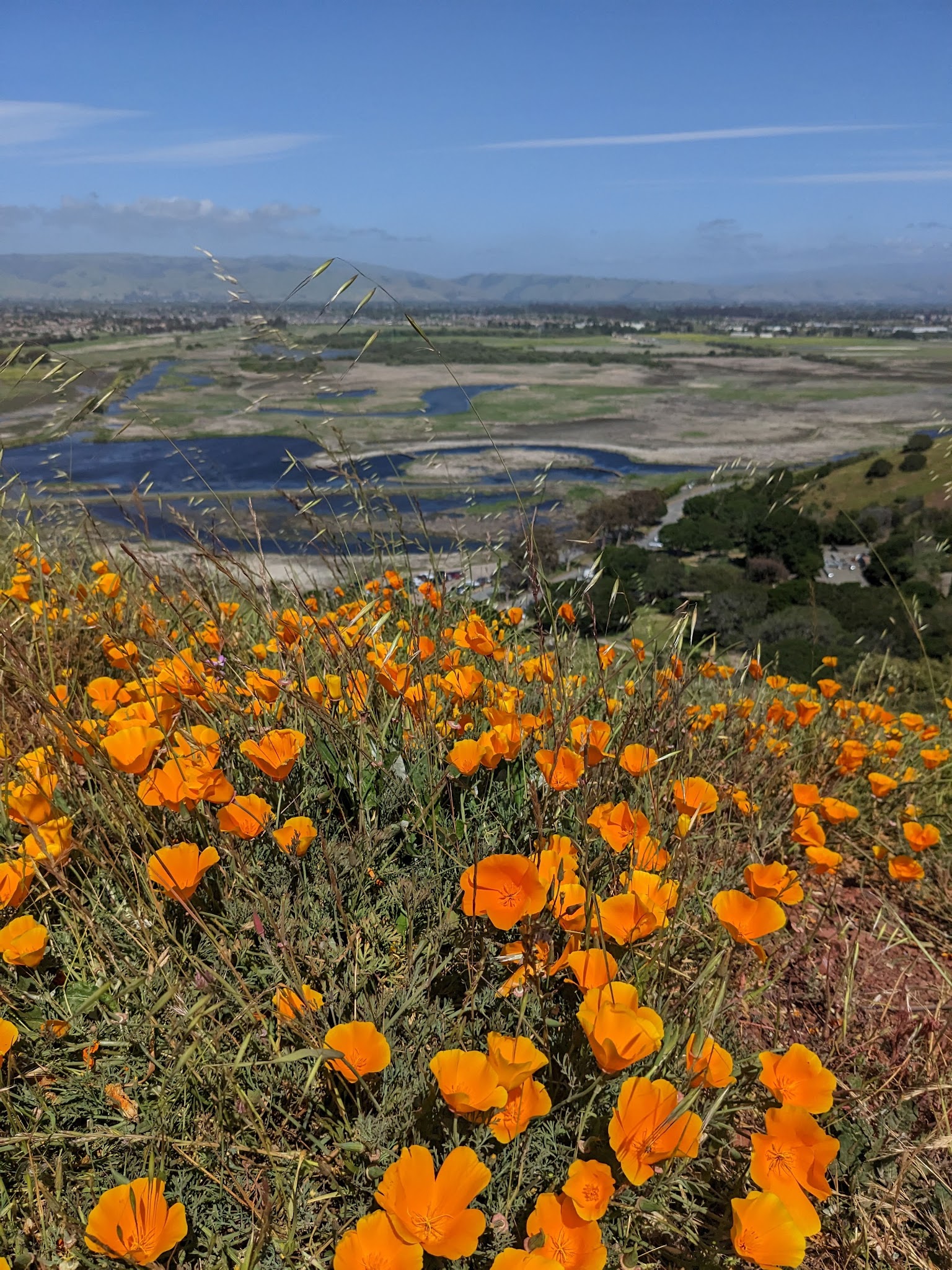 Coyote Hills Regional Park - Fremont, CA
