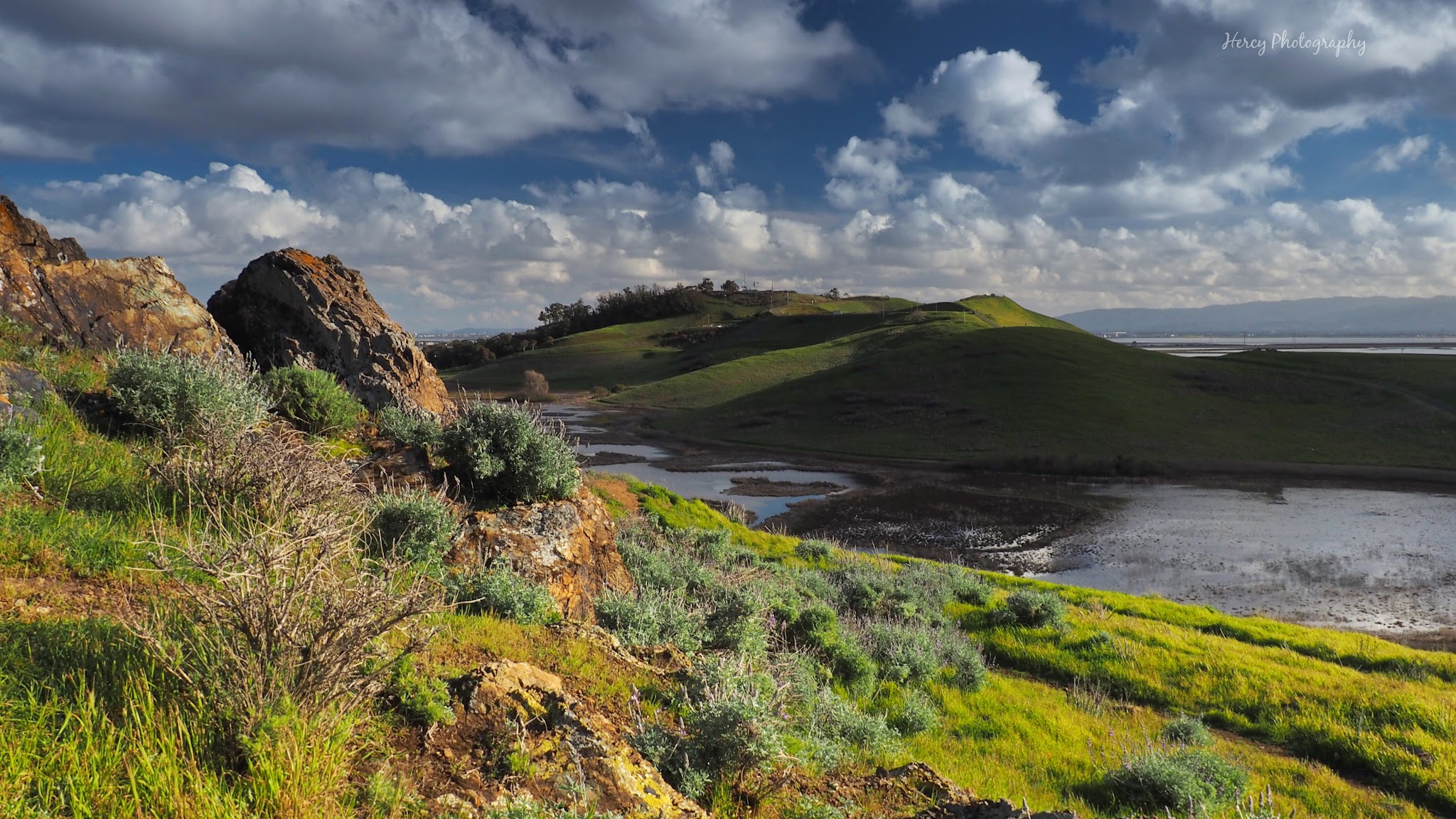 Coyote Hills Regional Park - Fremont, CA