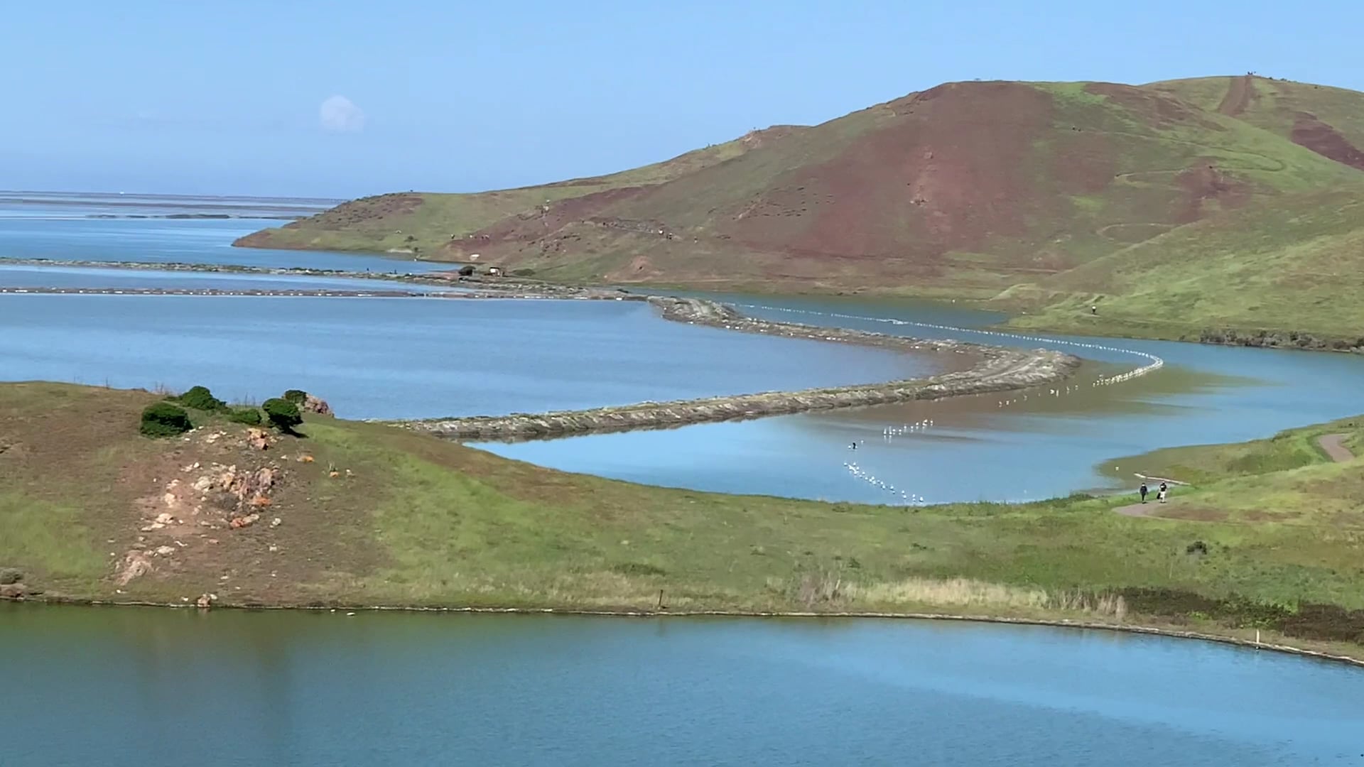Coyote Hills Regional Park - Fremont, CA