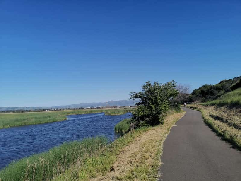 Coyote Hills Regional Park - Fremont, CA