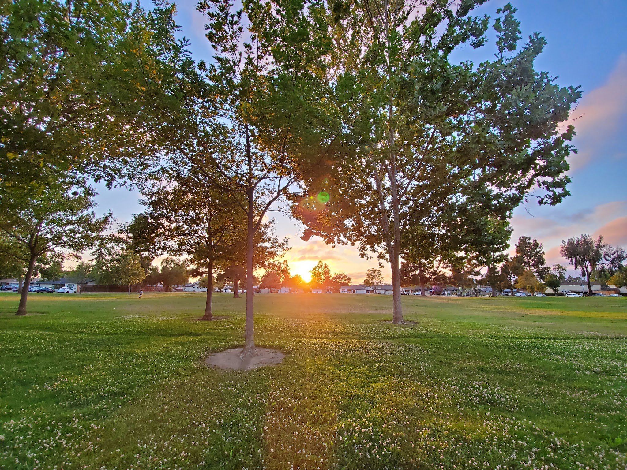 Crandall Creek Park - Fremont, CA