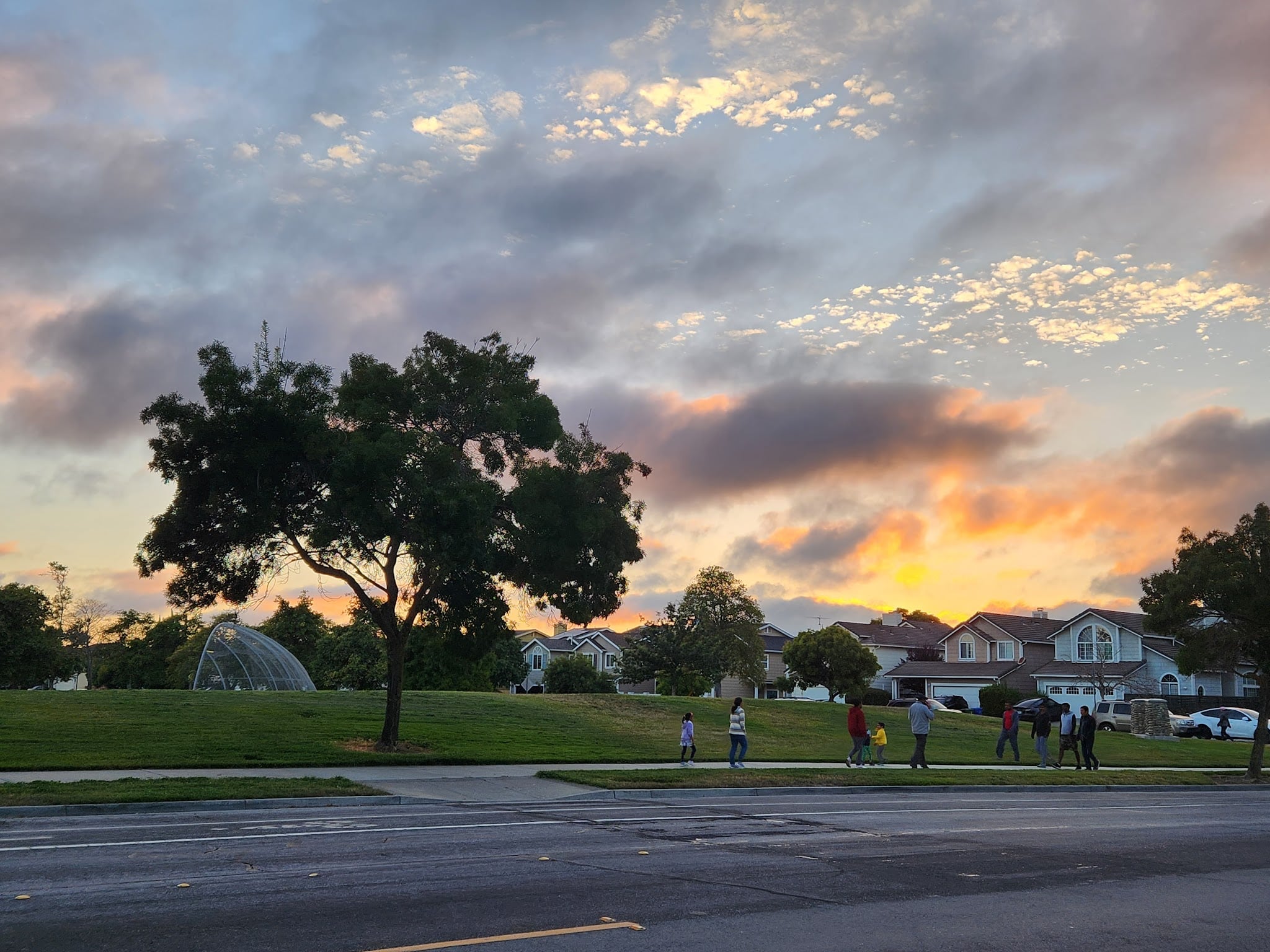 Frank Fisher Park - Fremont, CA