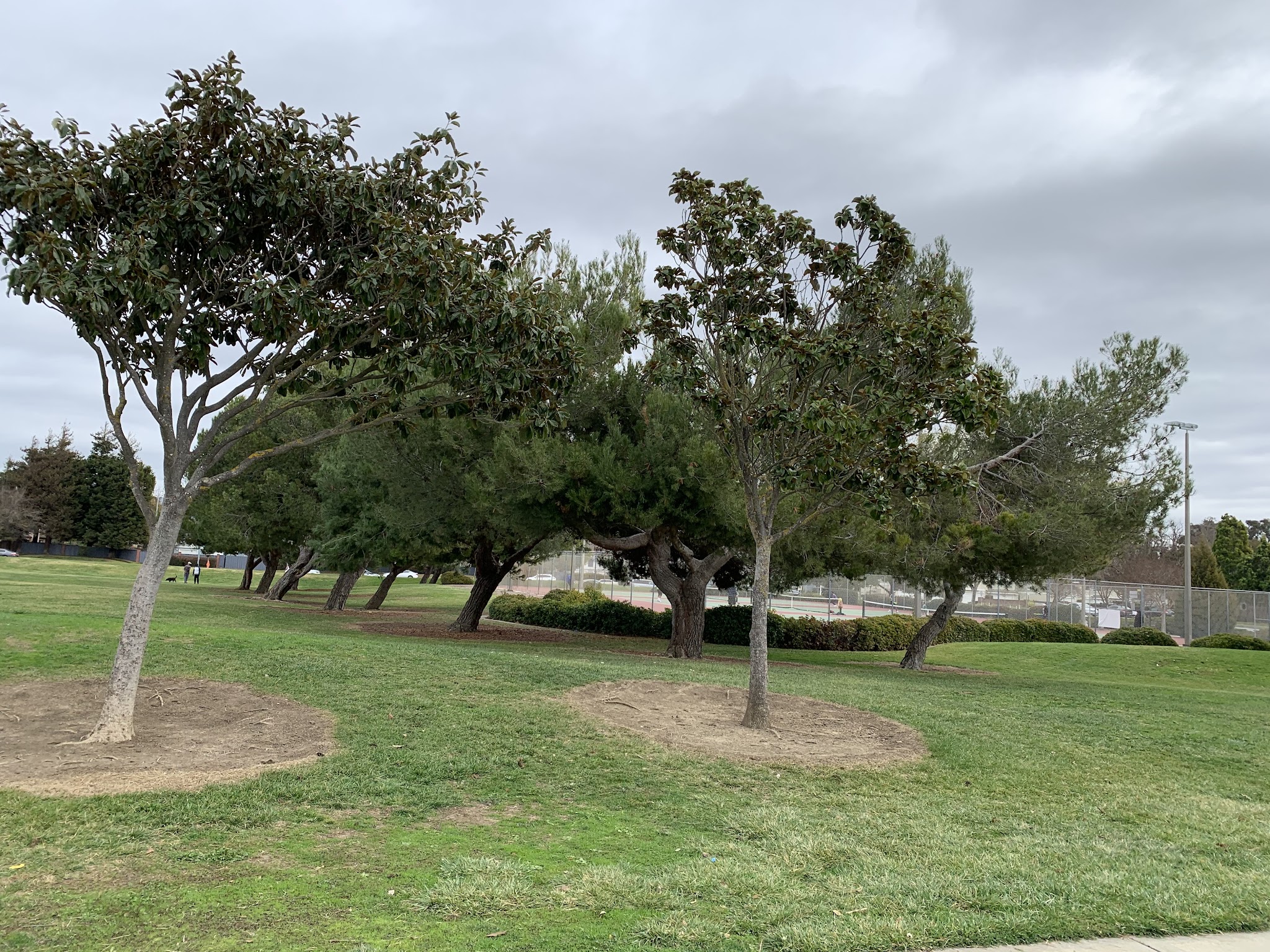 Frank Fisher Park - Fremont, CA