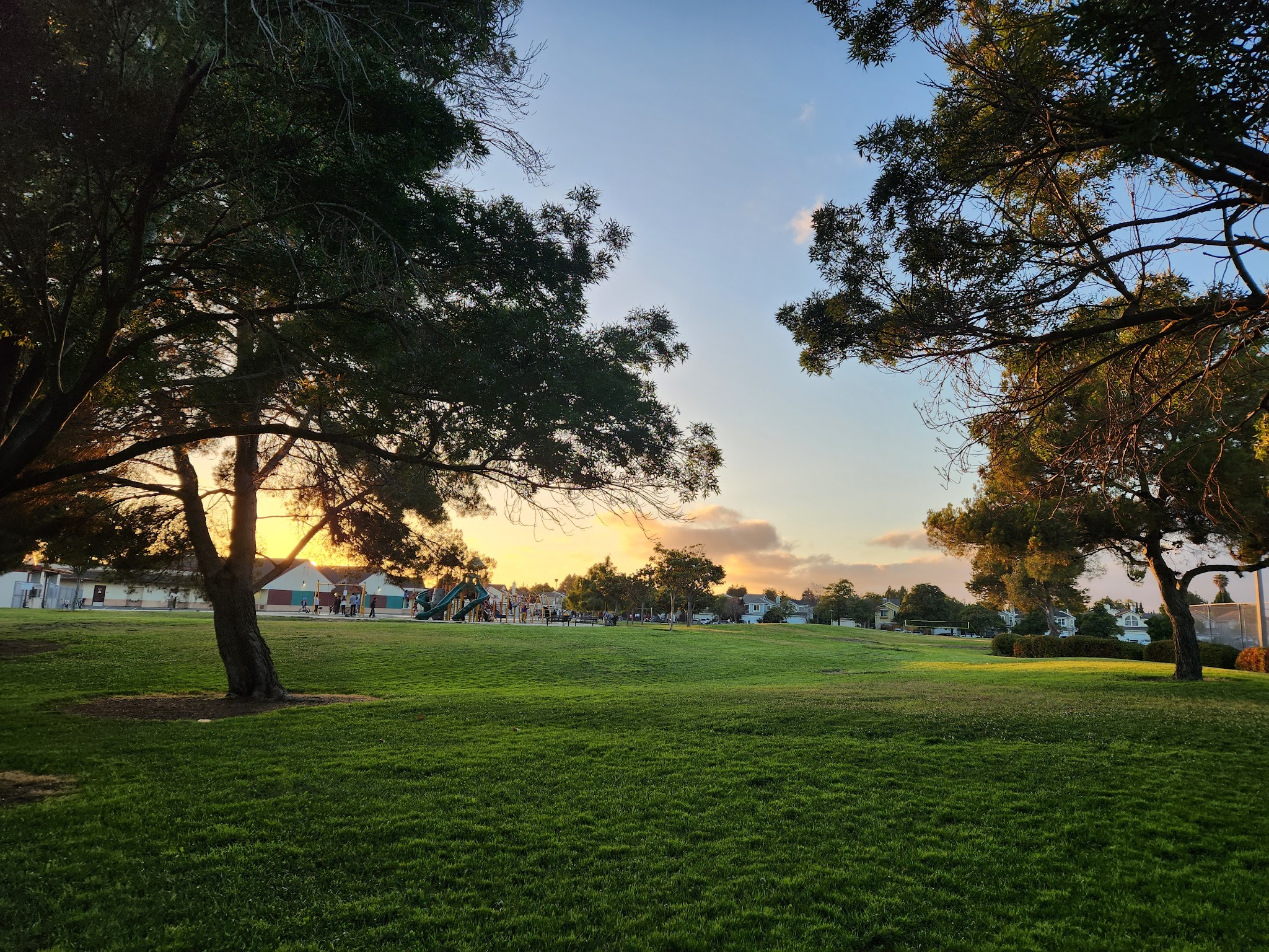Frank Fisher Park - Fremont, CA