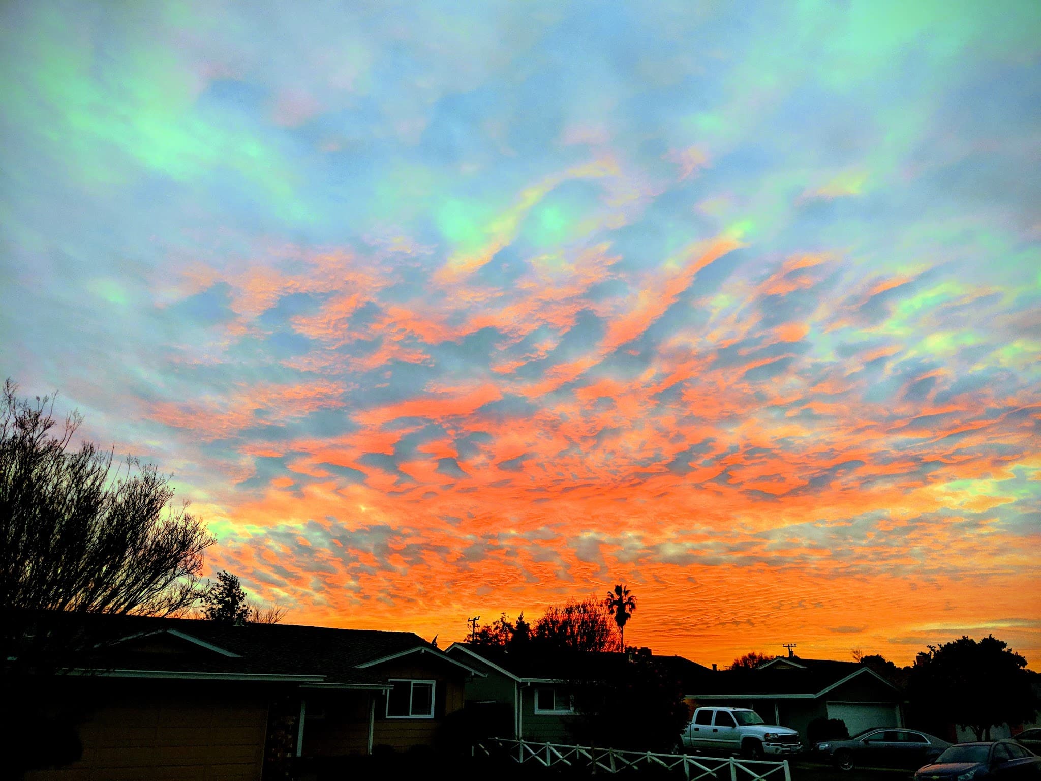 Patterson Park - Fremont, CA