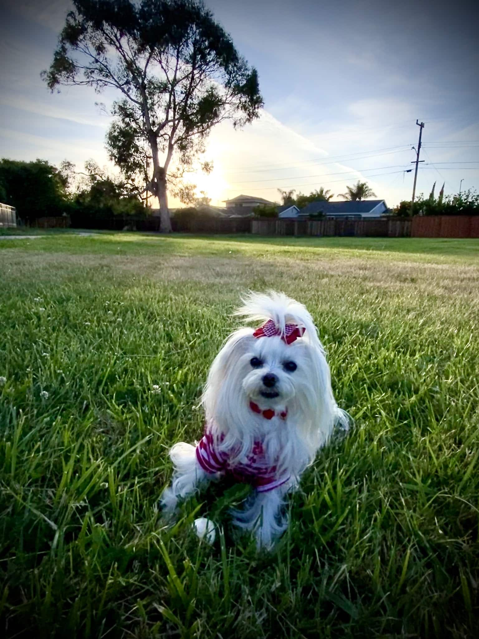 Patterson Park - Fremont, CA