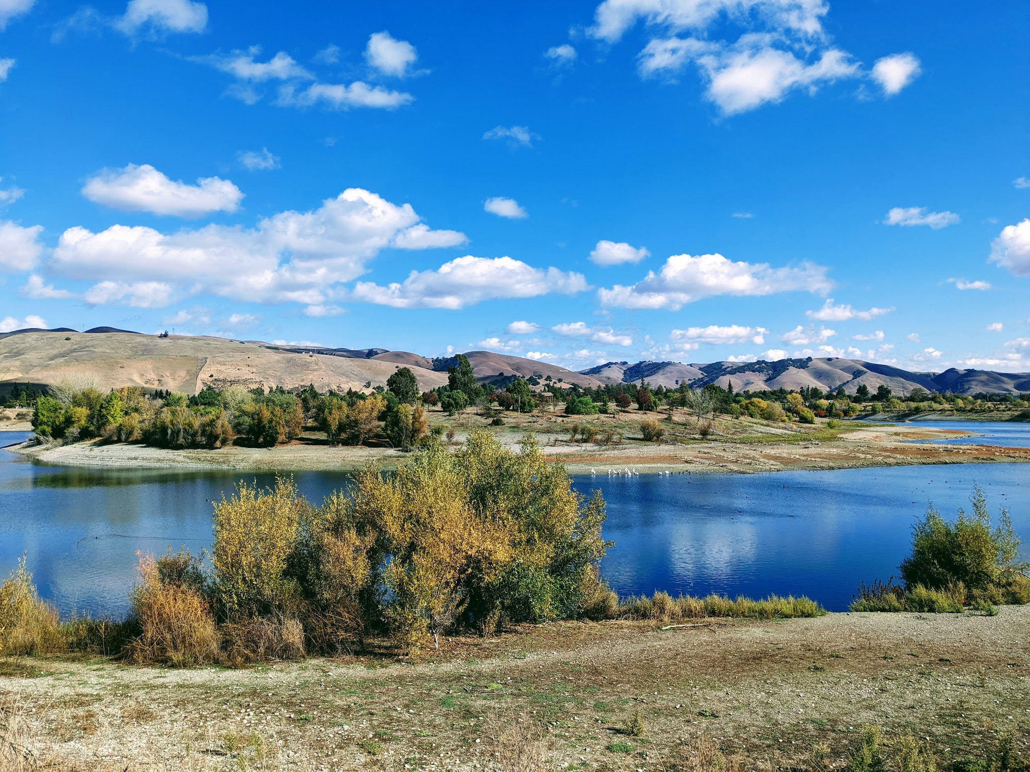Quarry Lakes Regional Recreation Area - Fremont, CA