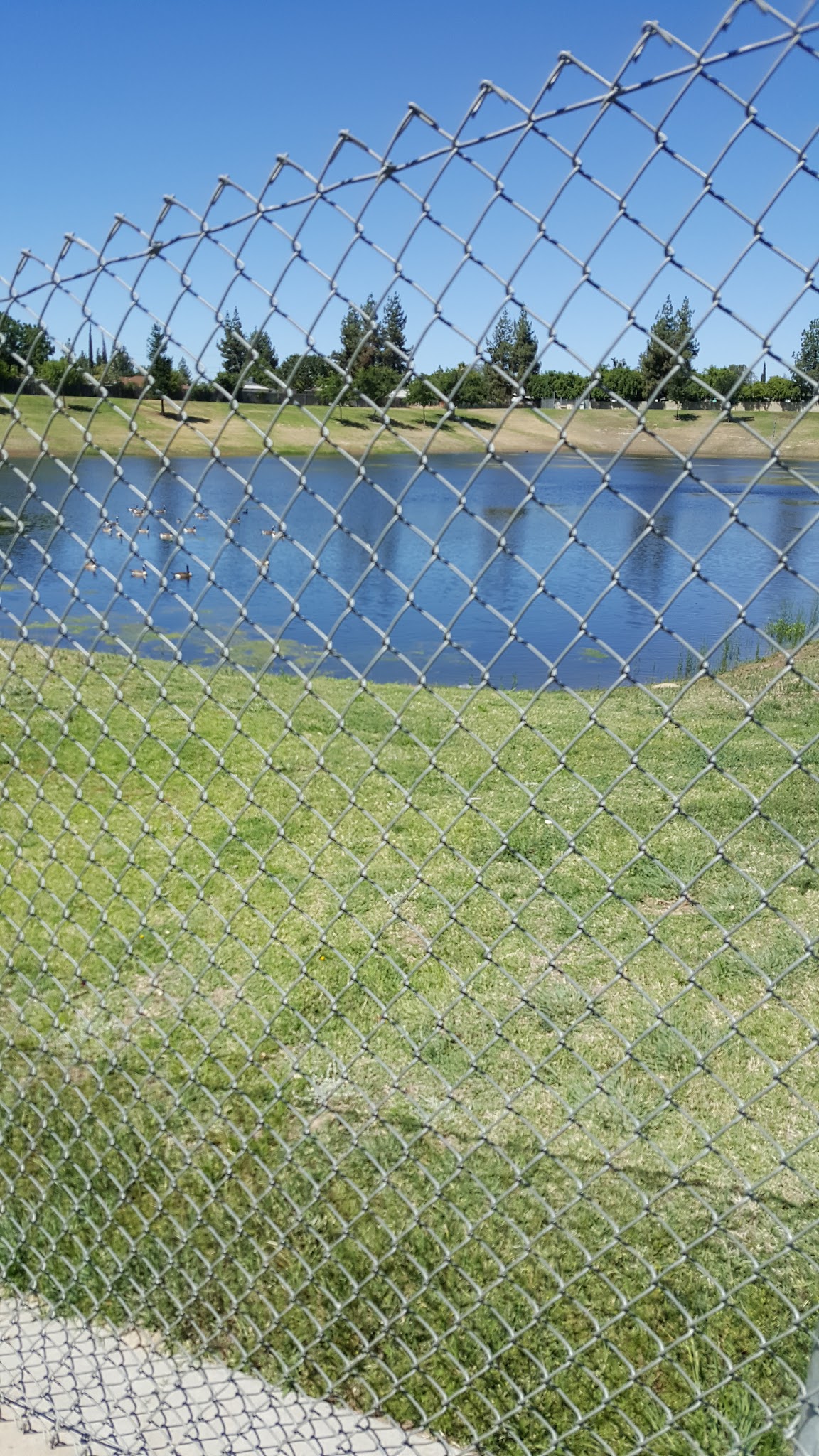 Basin XX Park - Fresno, CA