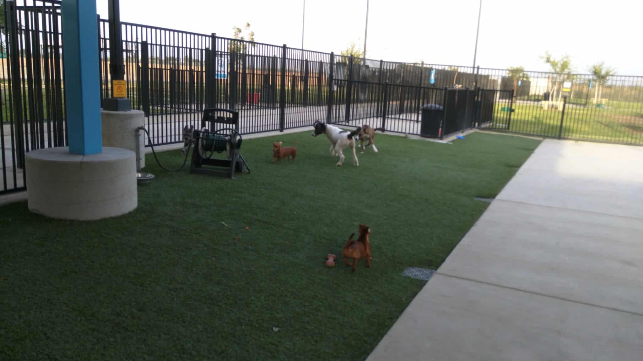 Dr. James W. Thornton Dog Park - Fresno, CA