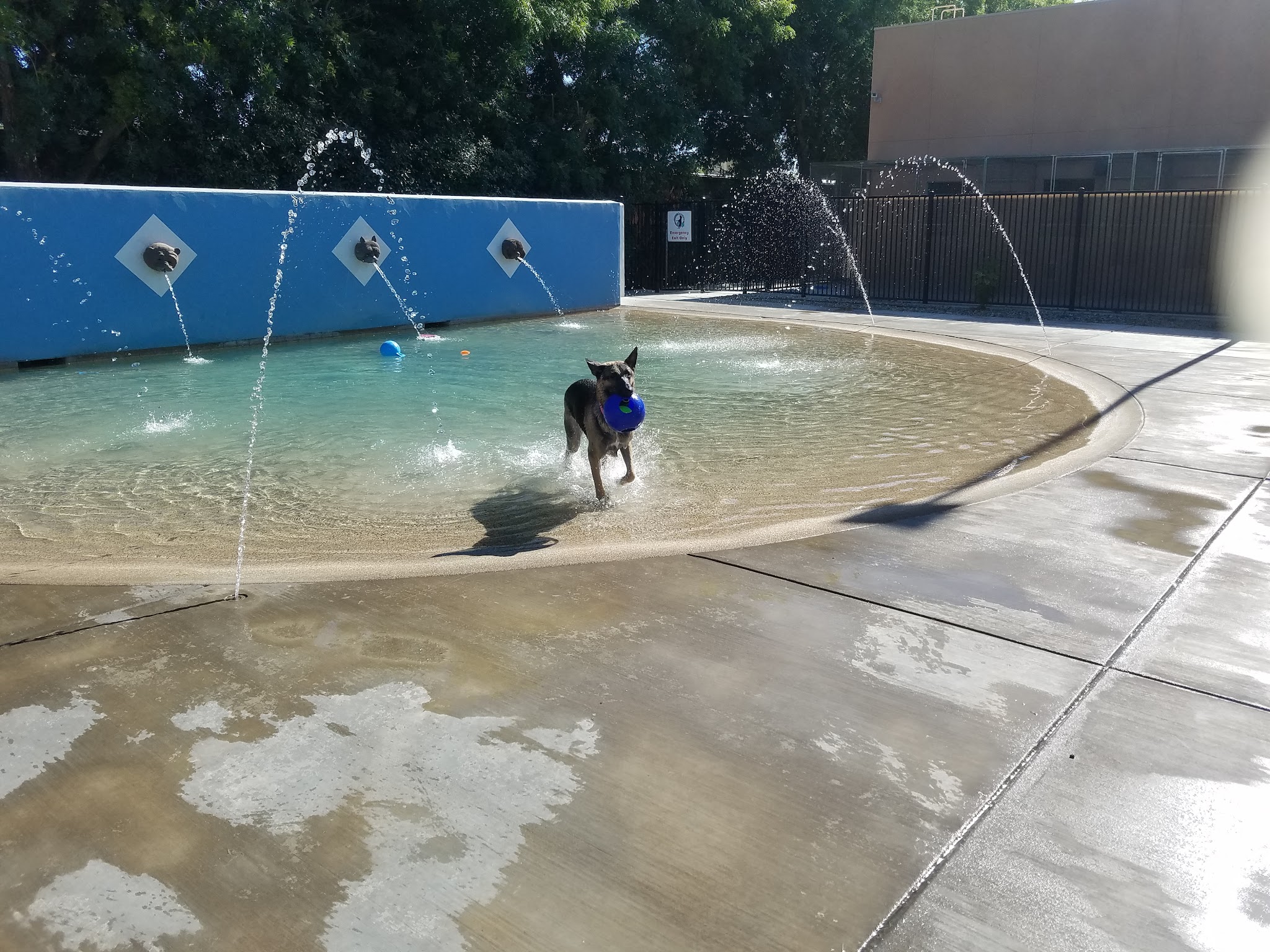 Dr. James W. Thornton Dog Park - Fresno, CA