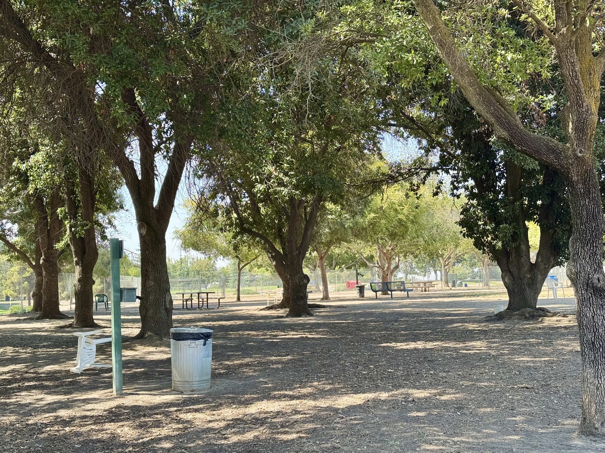 Woodward Dog Park - Fresno, CA