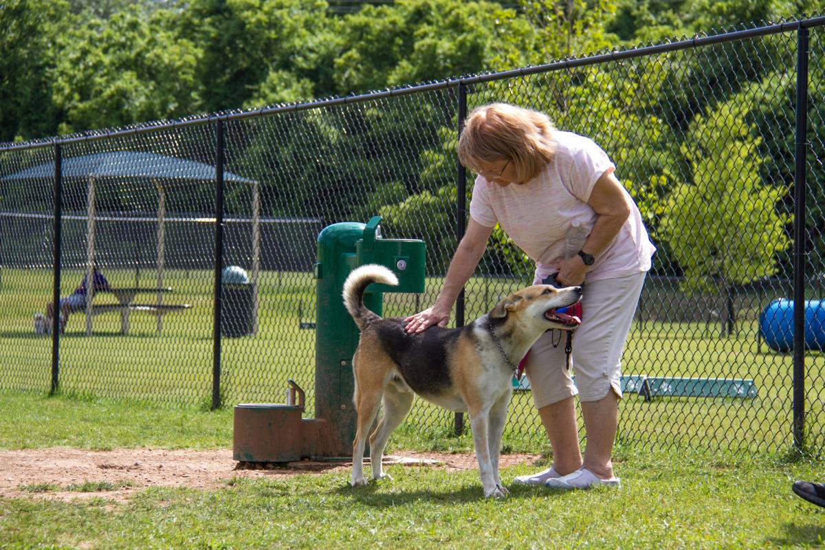 Friends of Hampton Iowa Dog Park - ,