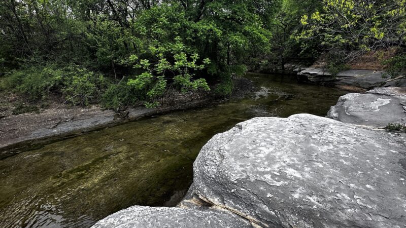 Caddo Trail - Frisco, TX