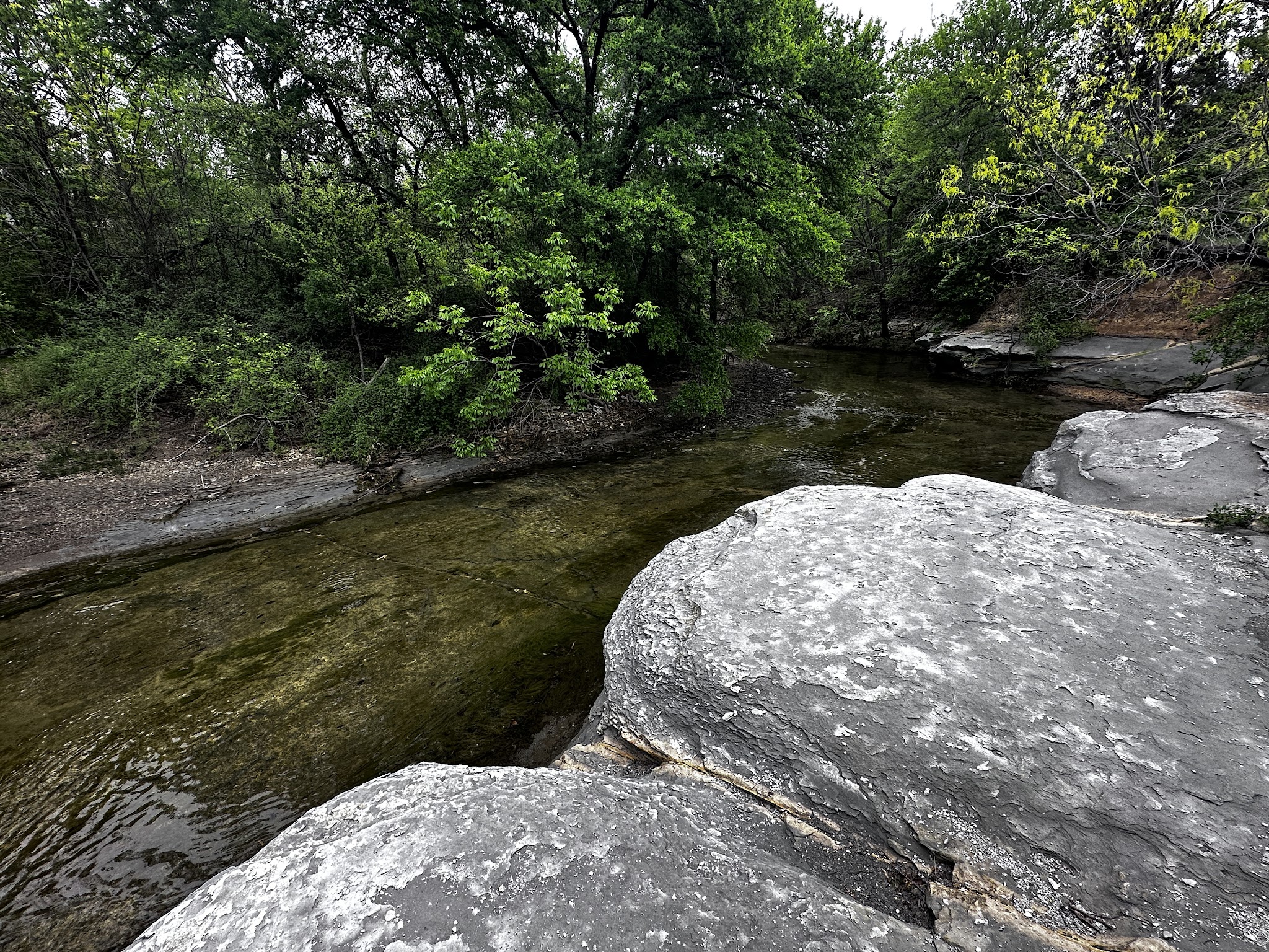 Caddo Trail - Frisco, TX