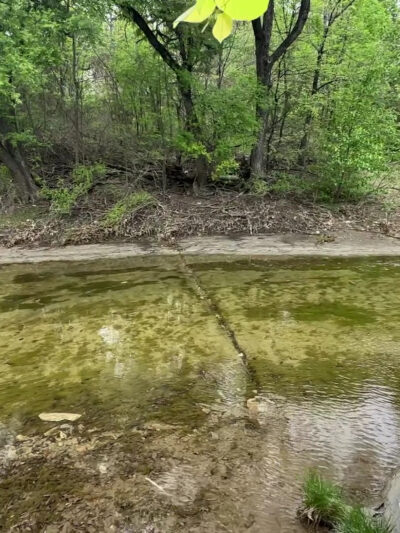 Caddo Trail - Frisco, TX