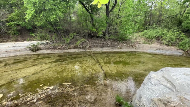Caddo Trail - Frisco, TX