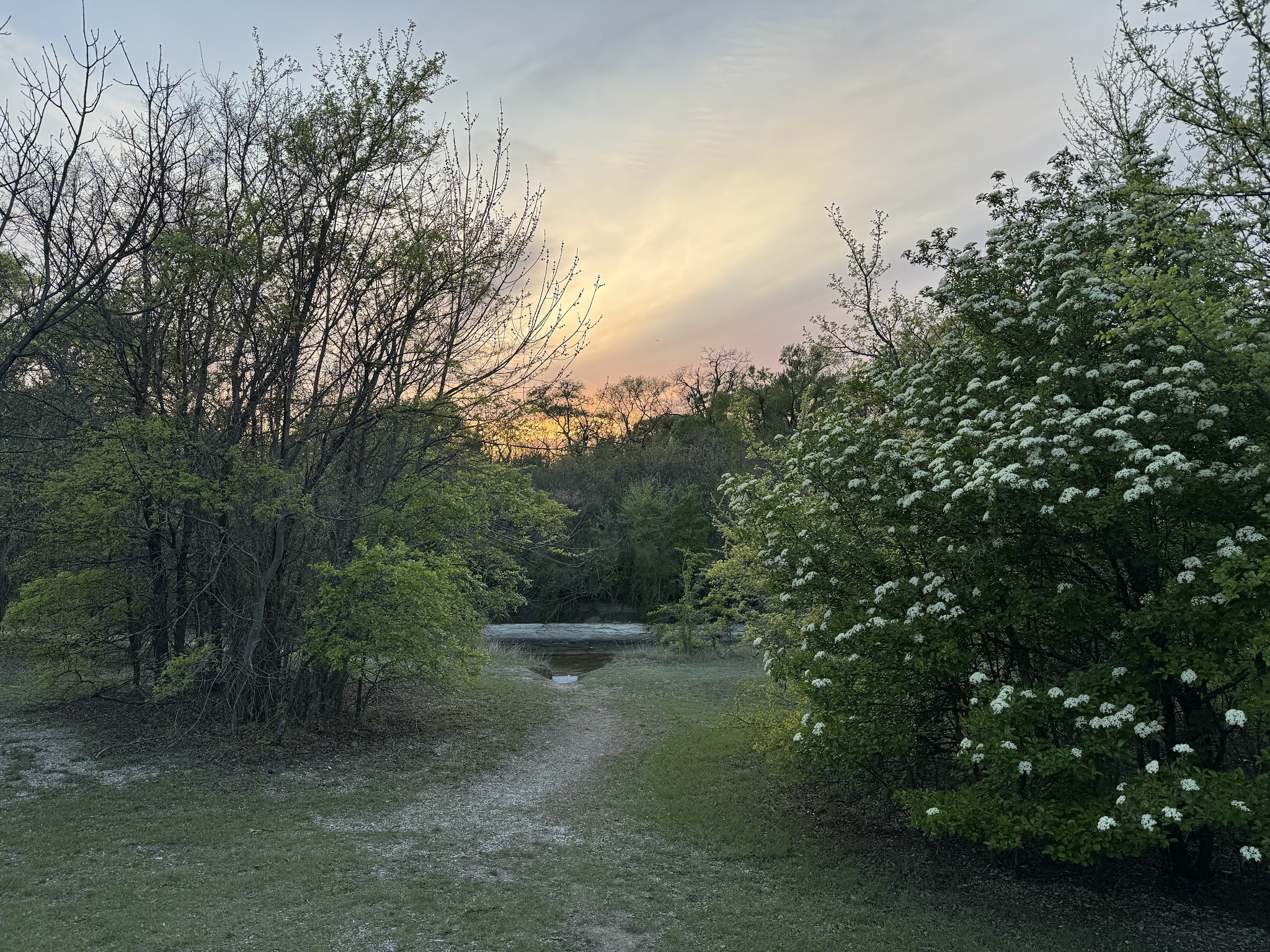 Caddo Trail - Frisco, TX