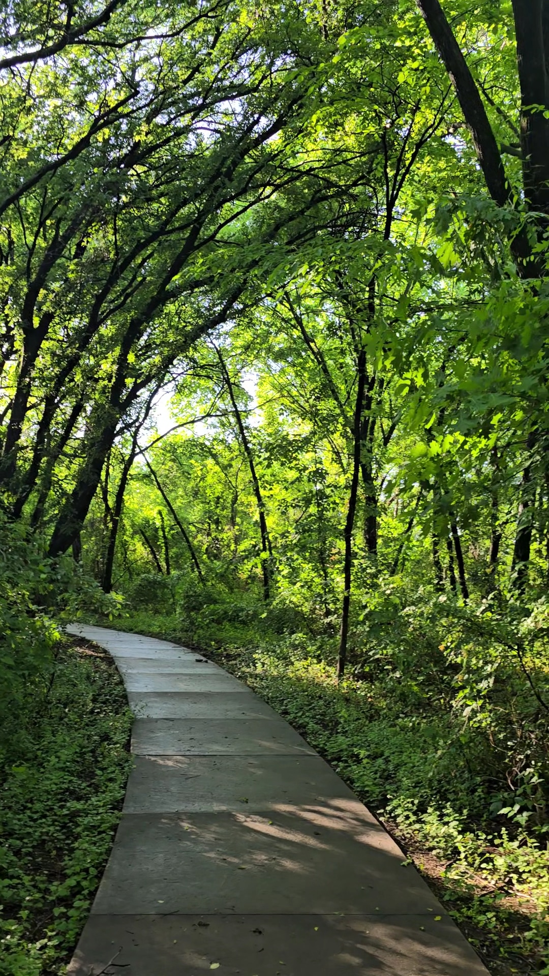 Frisco Commons Park Meadow - Frisco, TX