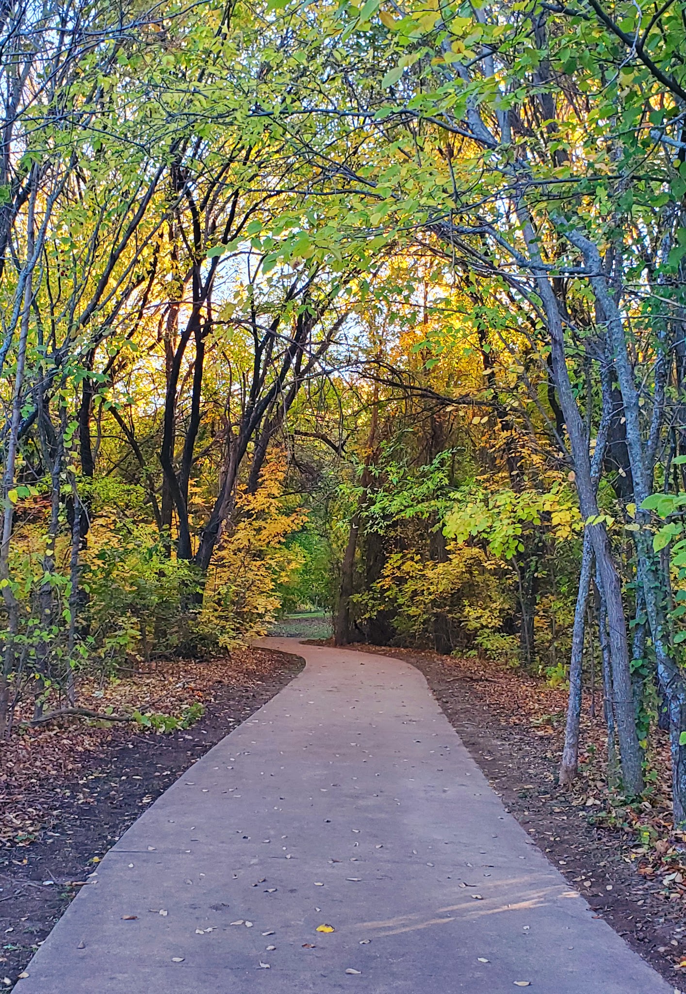 Frisco Commons Park Meadow - Frisco, TX