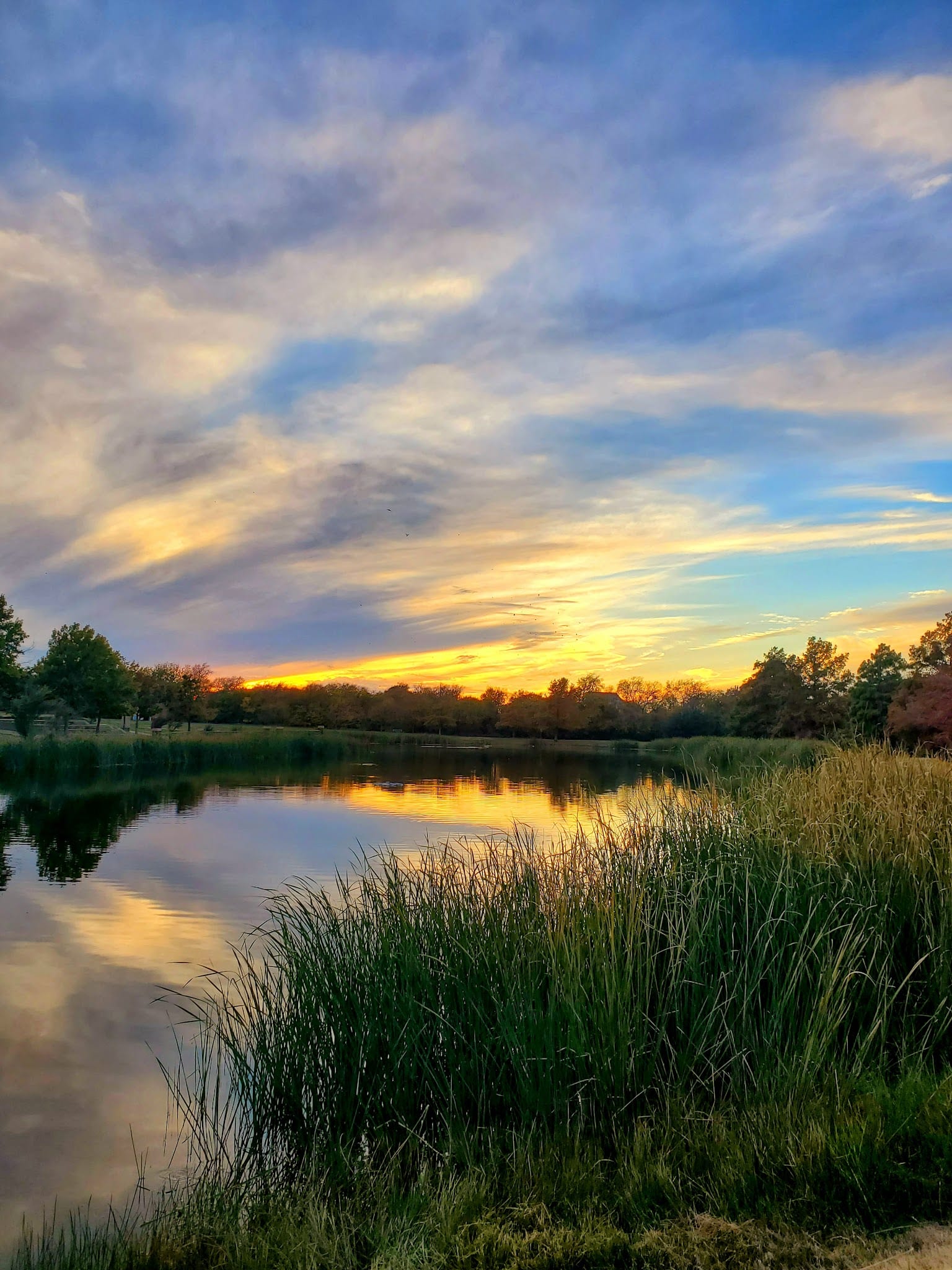 Frisco Commons Park Meadow - Frisco, TX