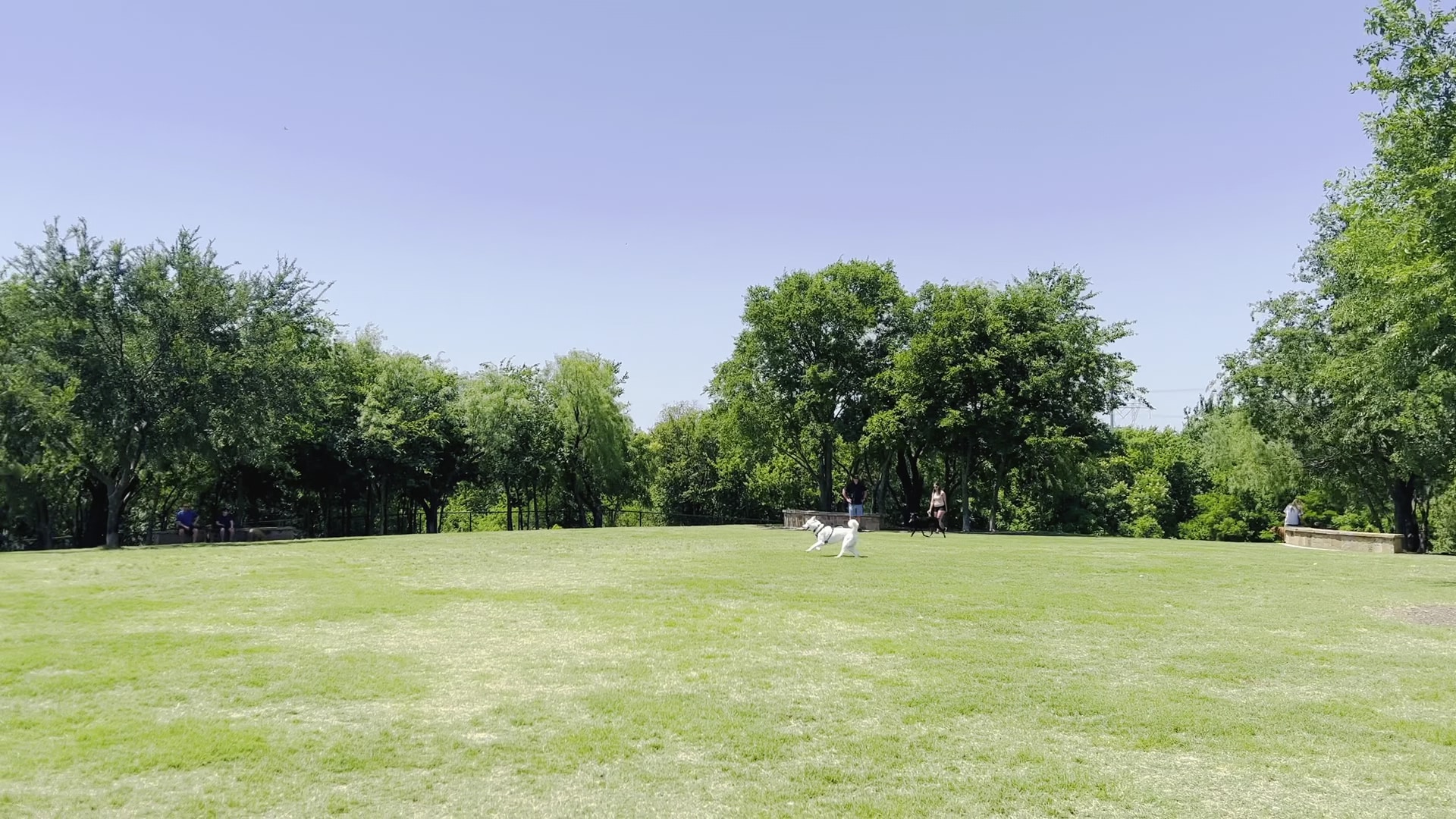 Ruff Range Dog Park - Frisco, TX