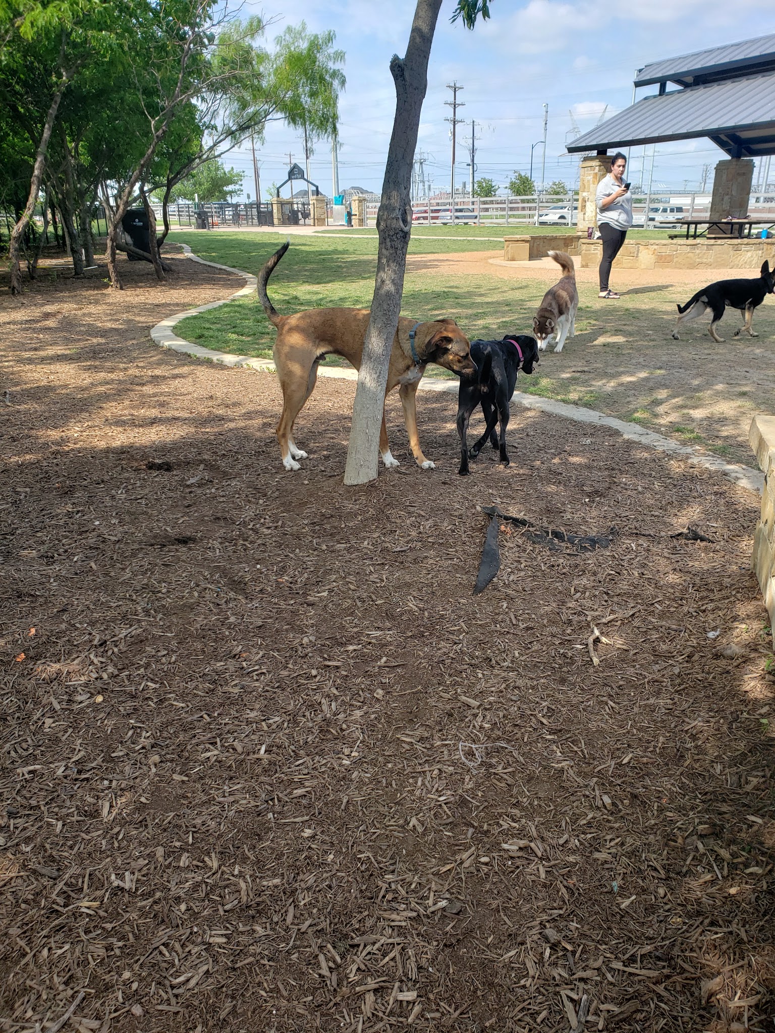 Ruff Range Dog Park - Frisco, TX