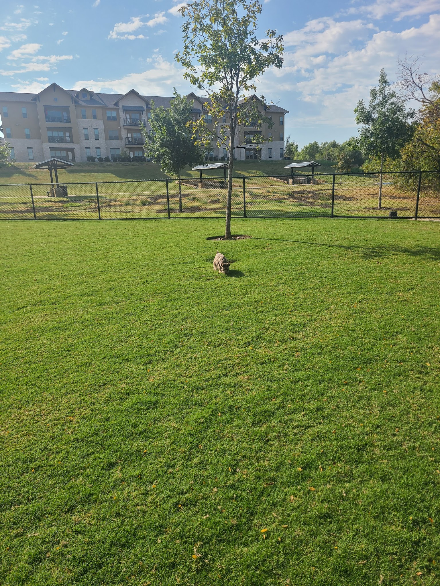 Wood Family Dog Park - Frisco, TX