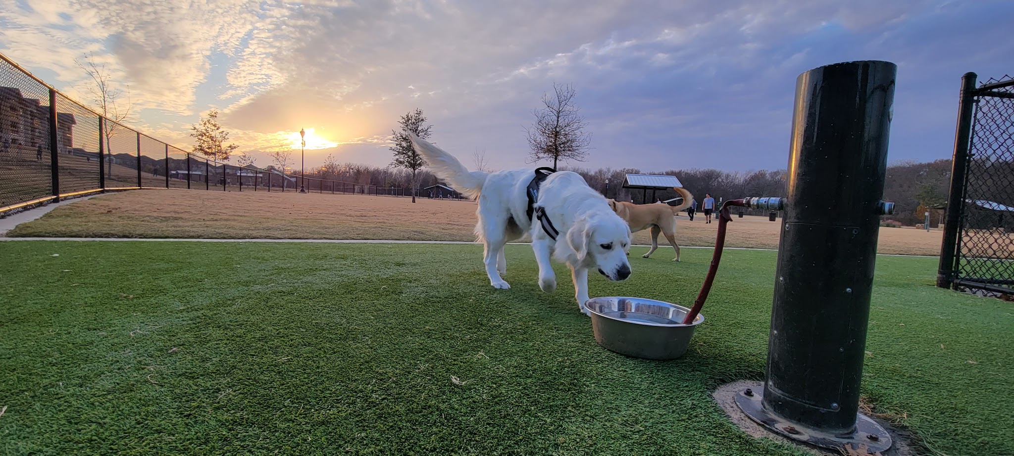 Wood Family Dog Park - Frisco, TX