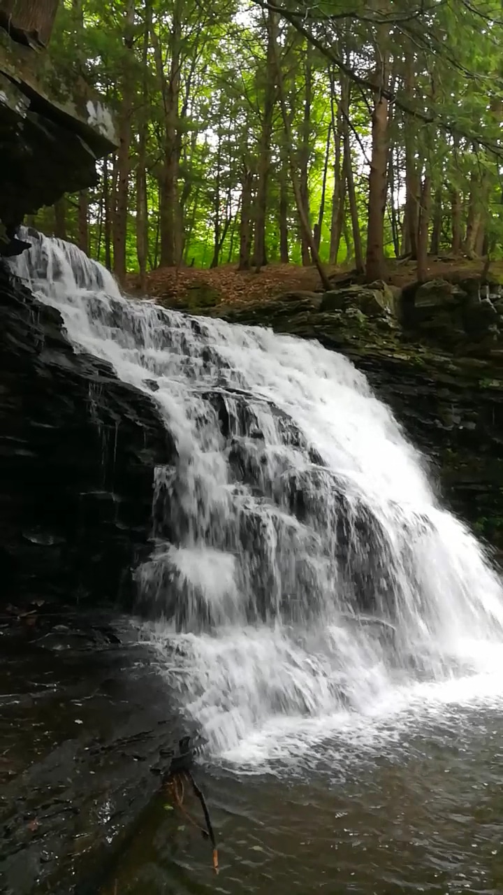 Sand Run Falls - Gaines, PA