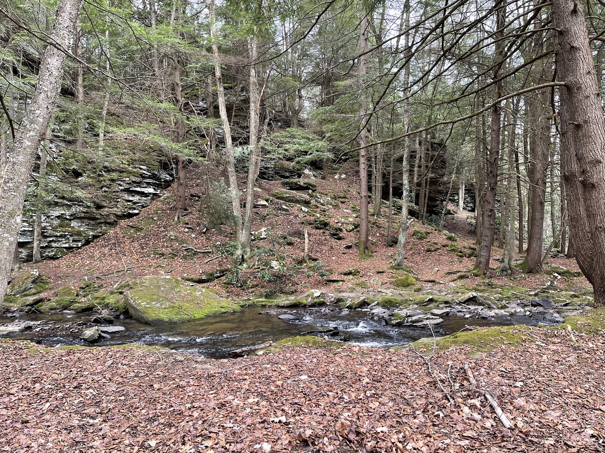 Sand Run Falls - Gaines, PA
