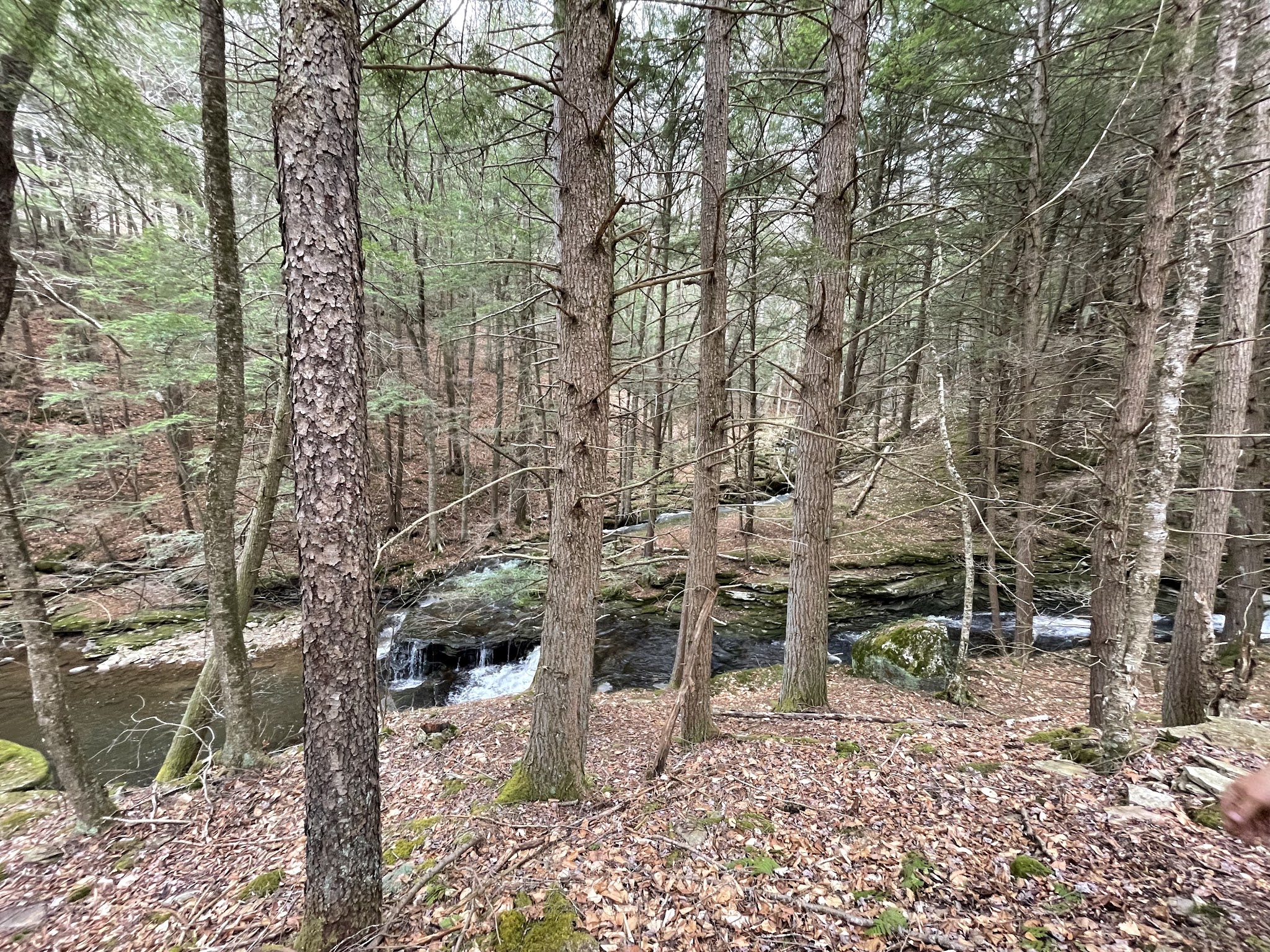 Sand Run Falls - Gaines, PA