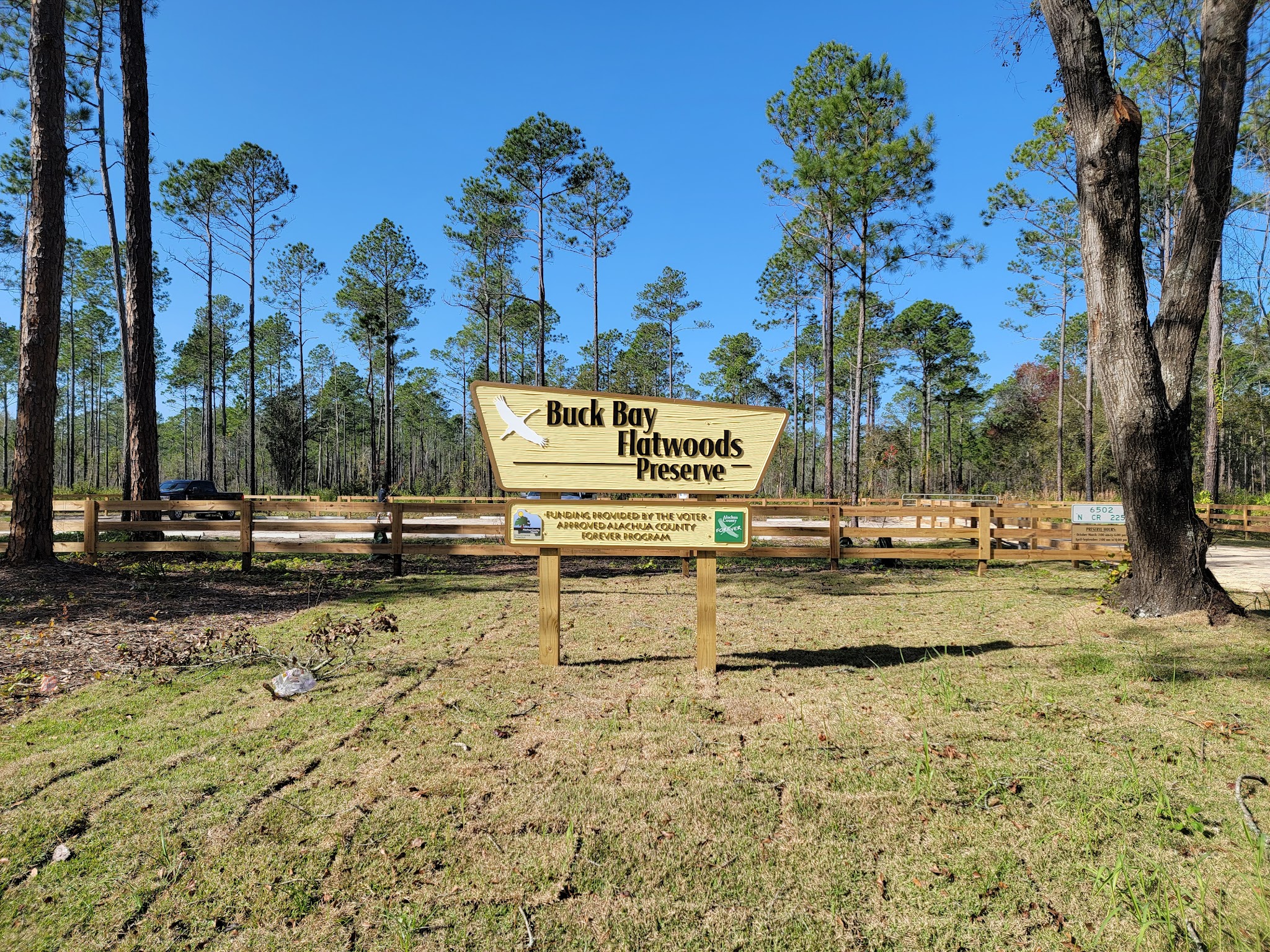 Buck Bay Flatwood Preserve - Gainesville, FL