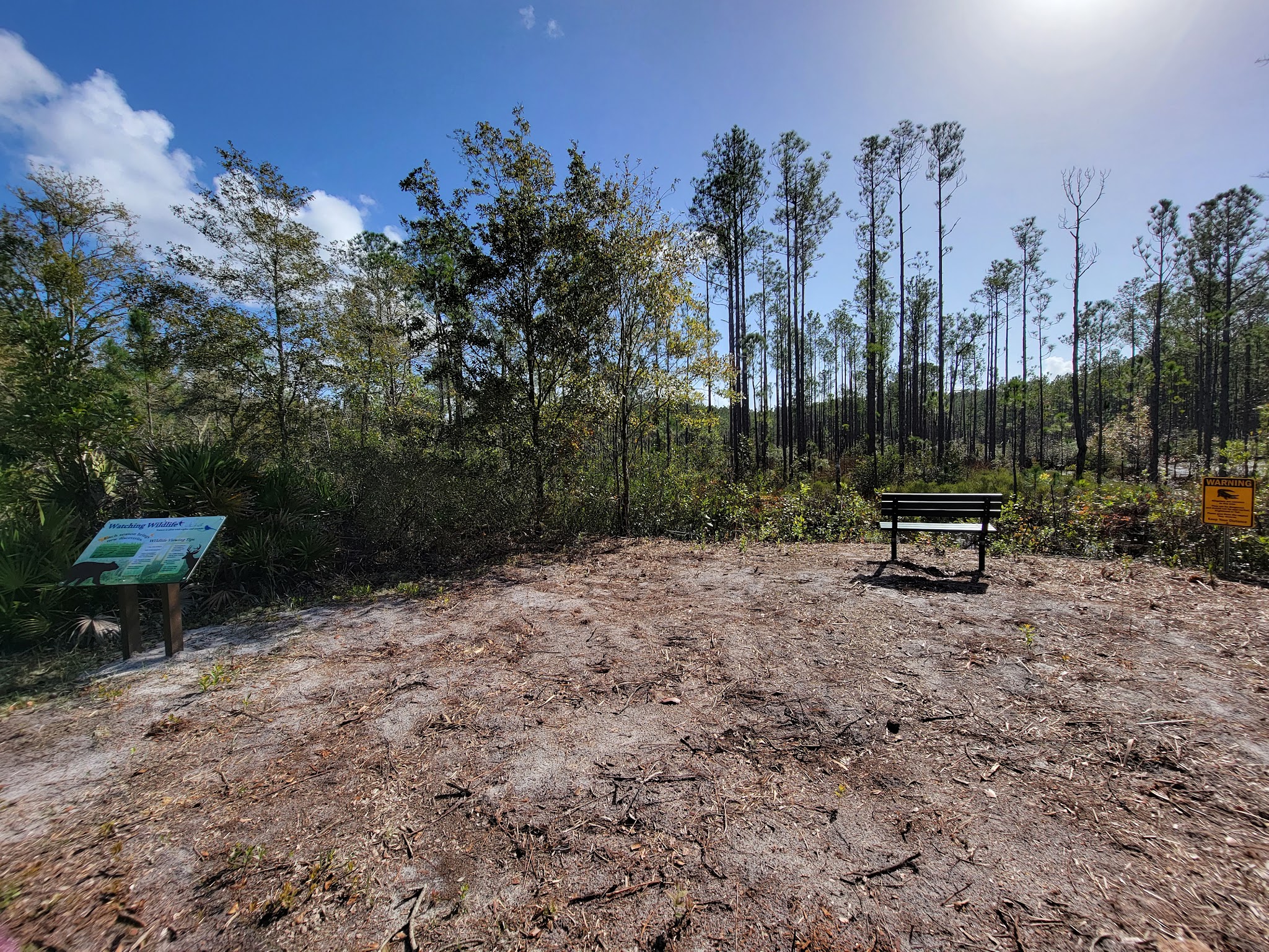 Buck Bay Flatwood Preserve - Gainesville, FL