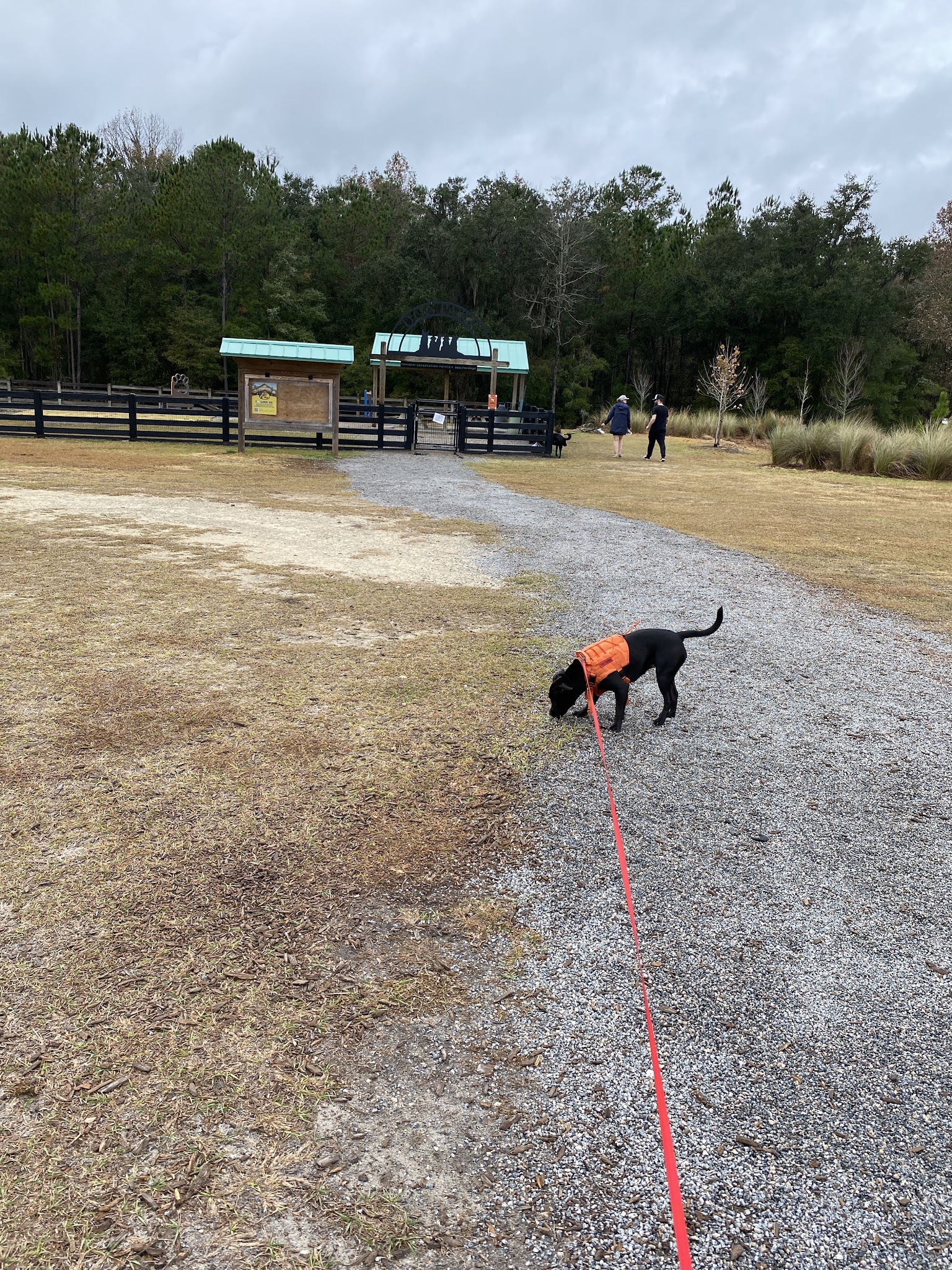 Celebration Pointe Dog Park - Gainesville, FL