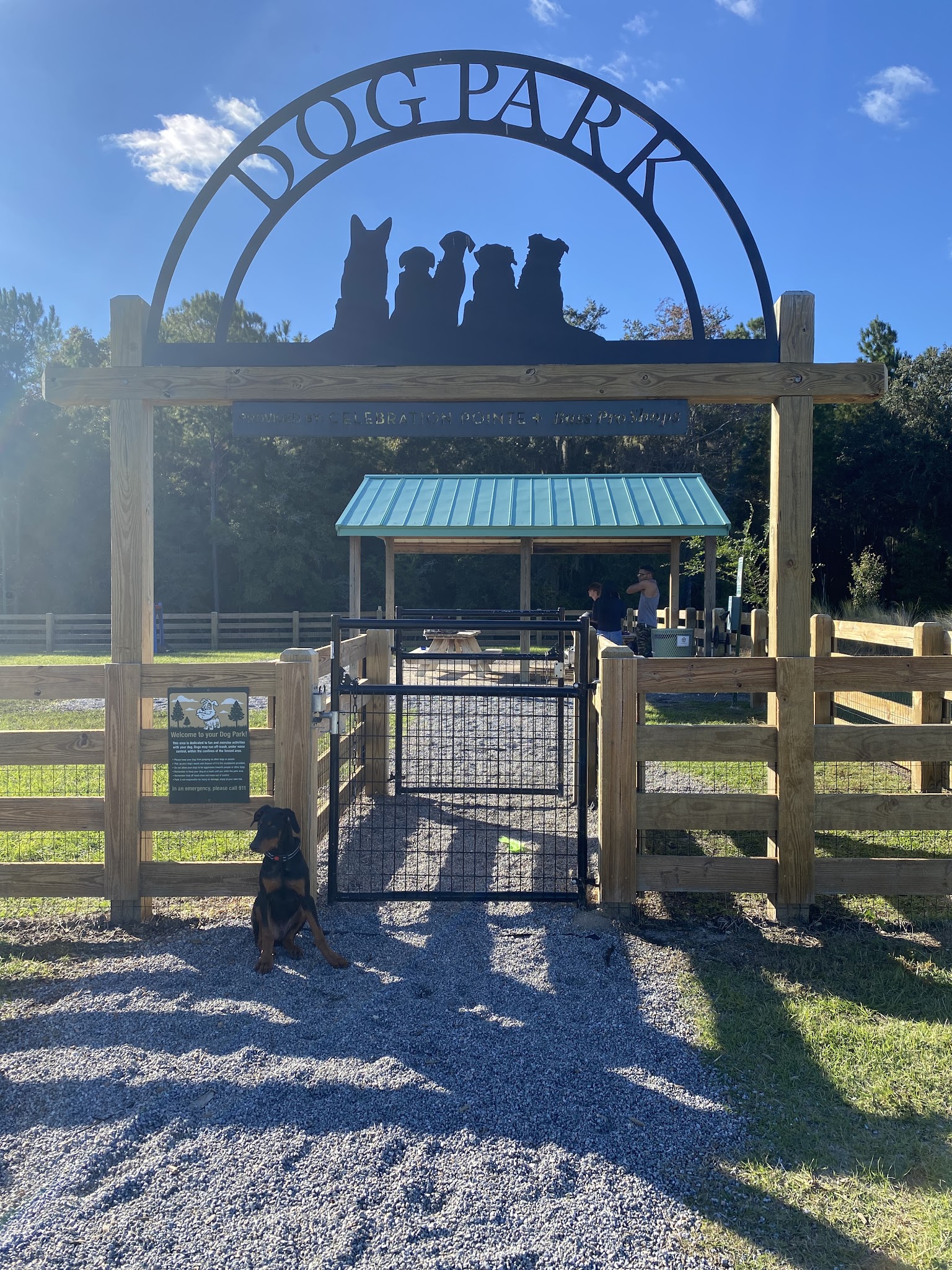 Celebration Pointe Dog Park - Gainesville, FL