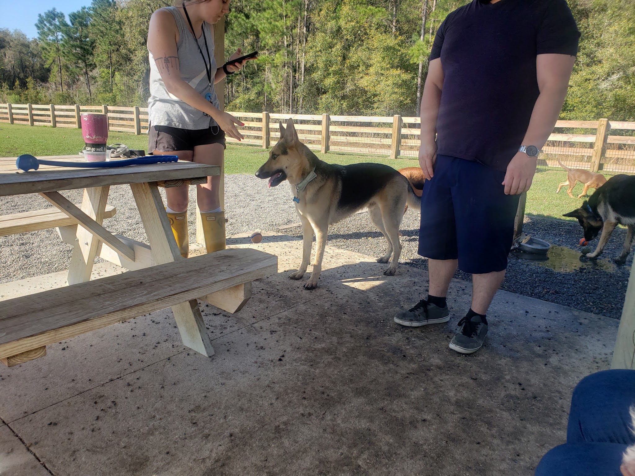 Celebration Pointe Dog Park - Gainesville, FL