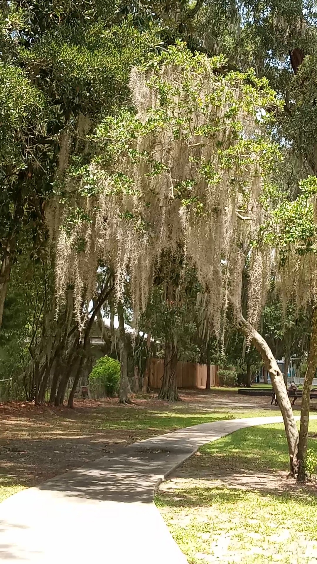 Pleasant Park - Gainesville, FL